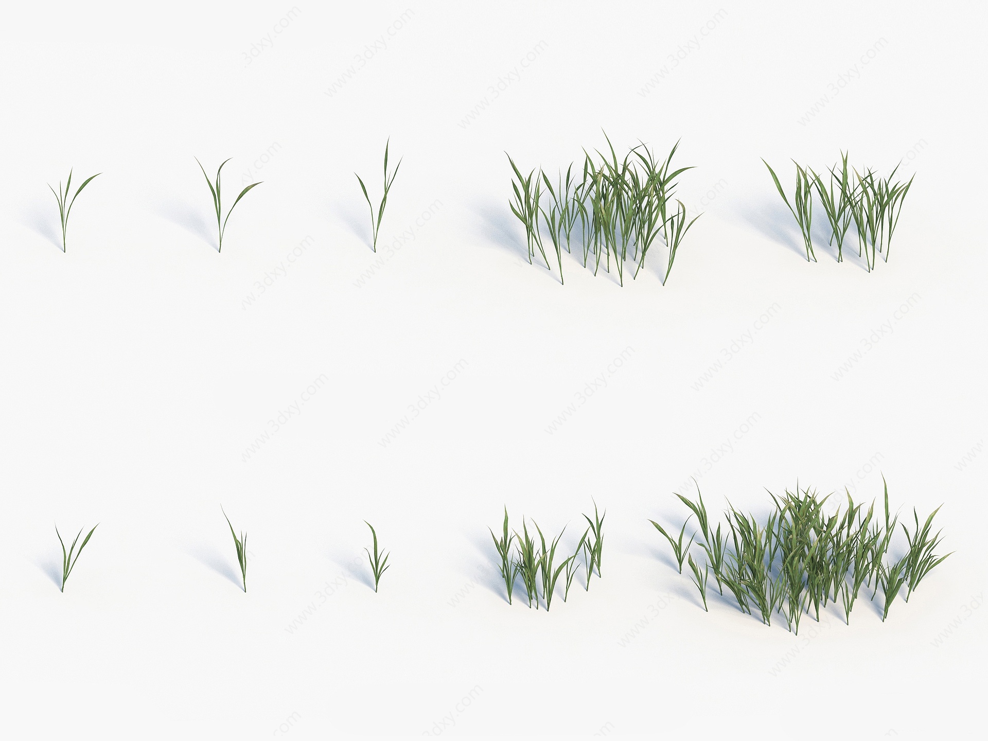 植物小草3D模型