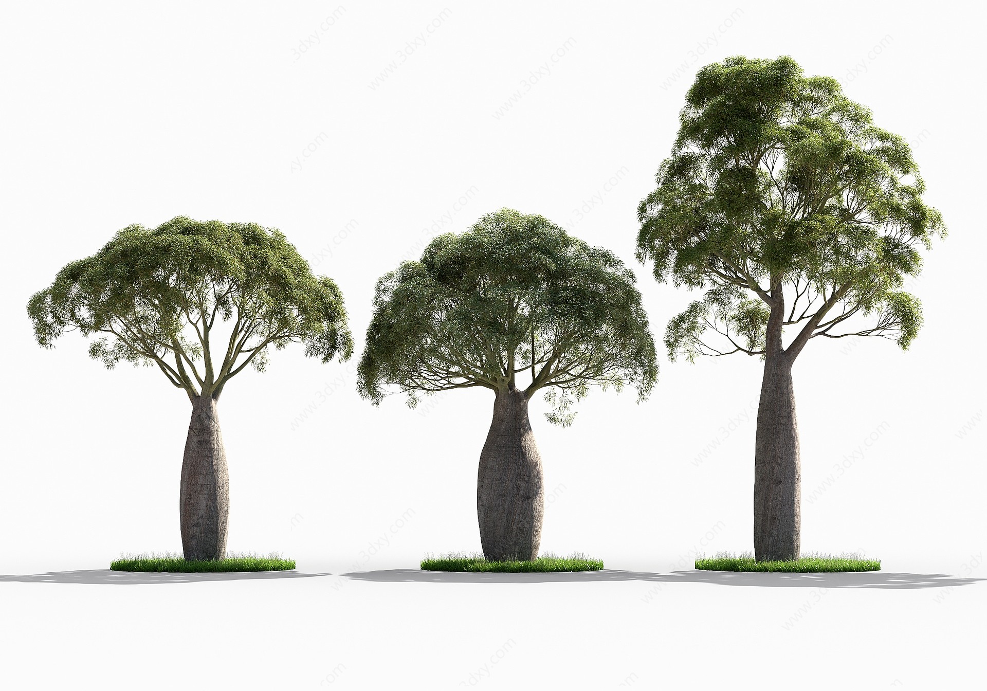 瓶干树3D模型