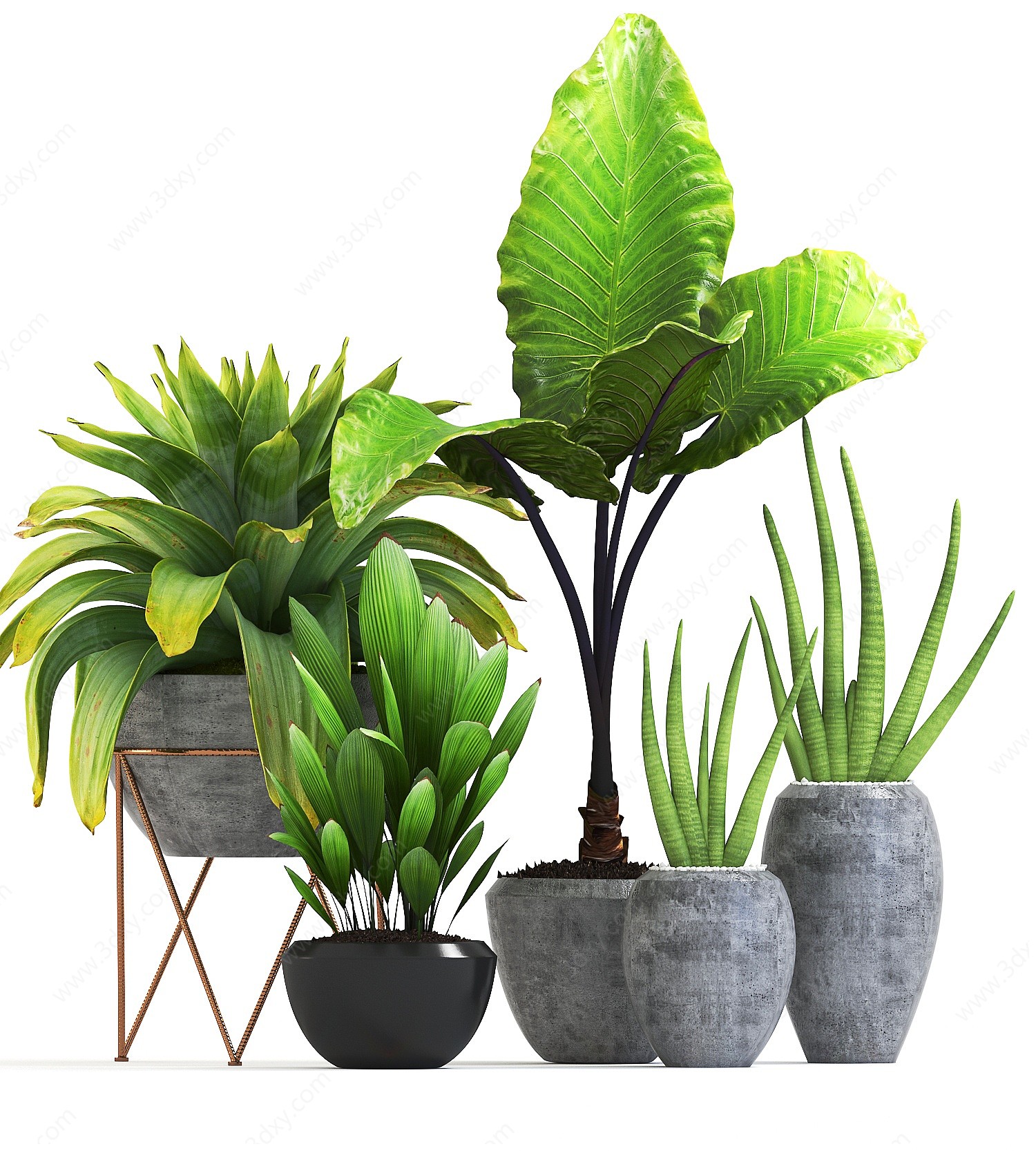 现代盆栽植物组合3D模型