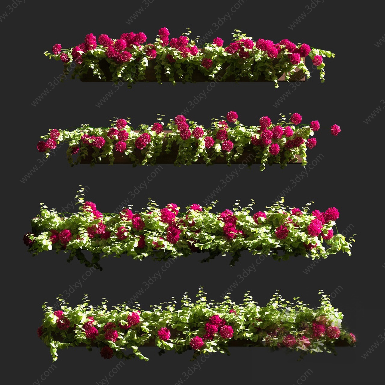 现代盆栽花卉天竺葵老鹳草3D模型