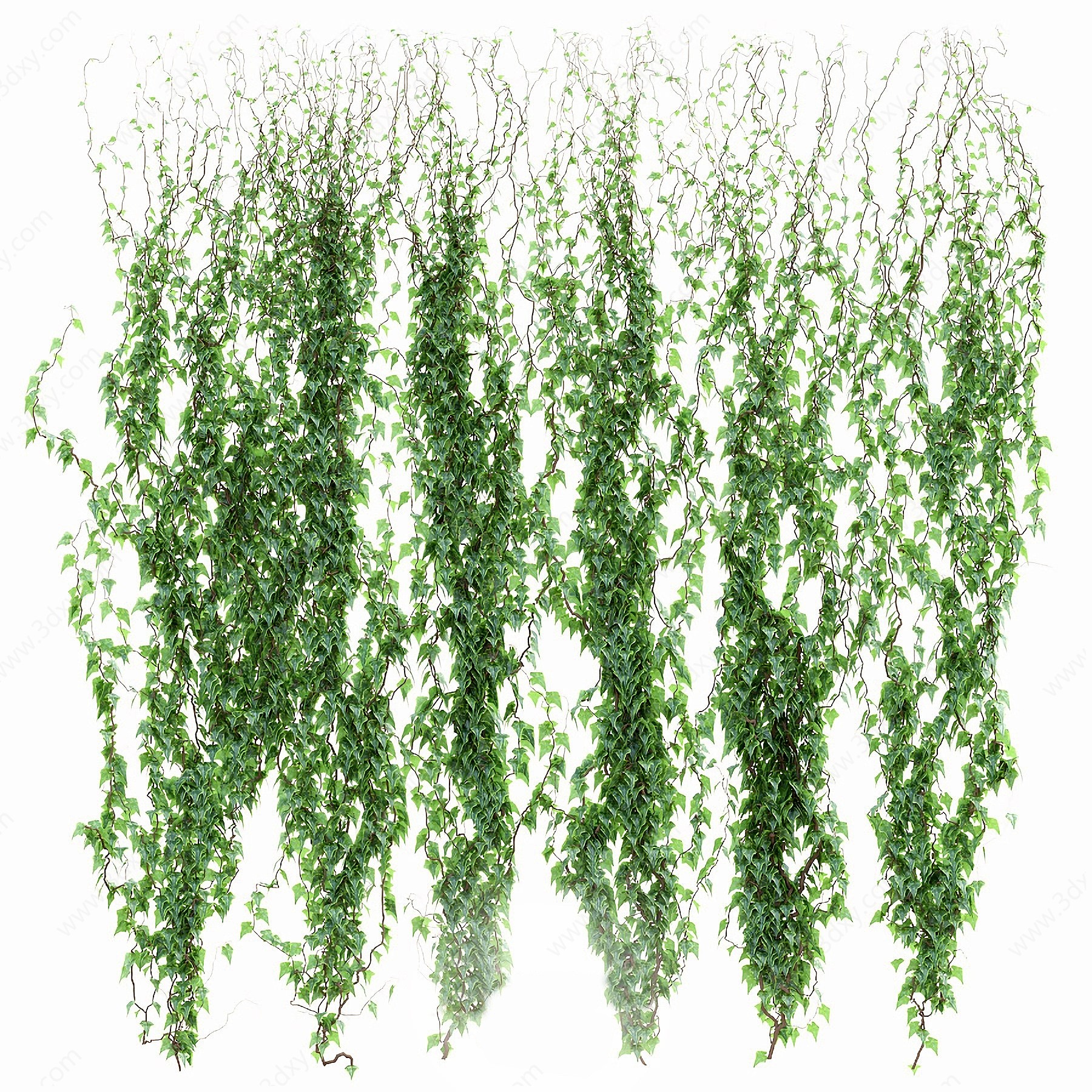 现代植物藤曼爬墙虎3D模型