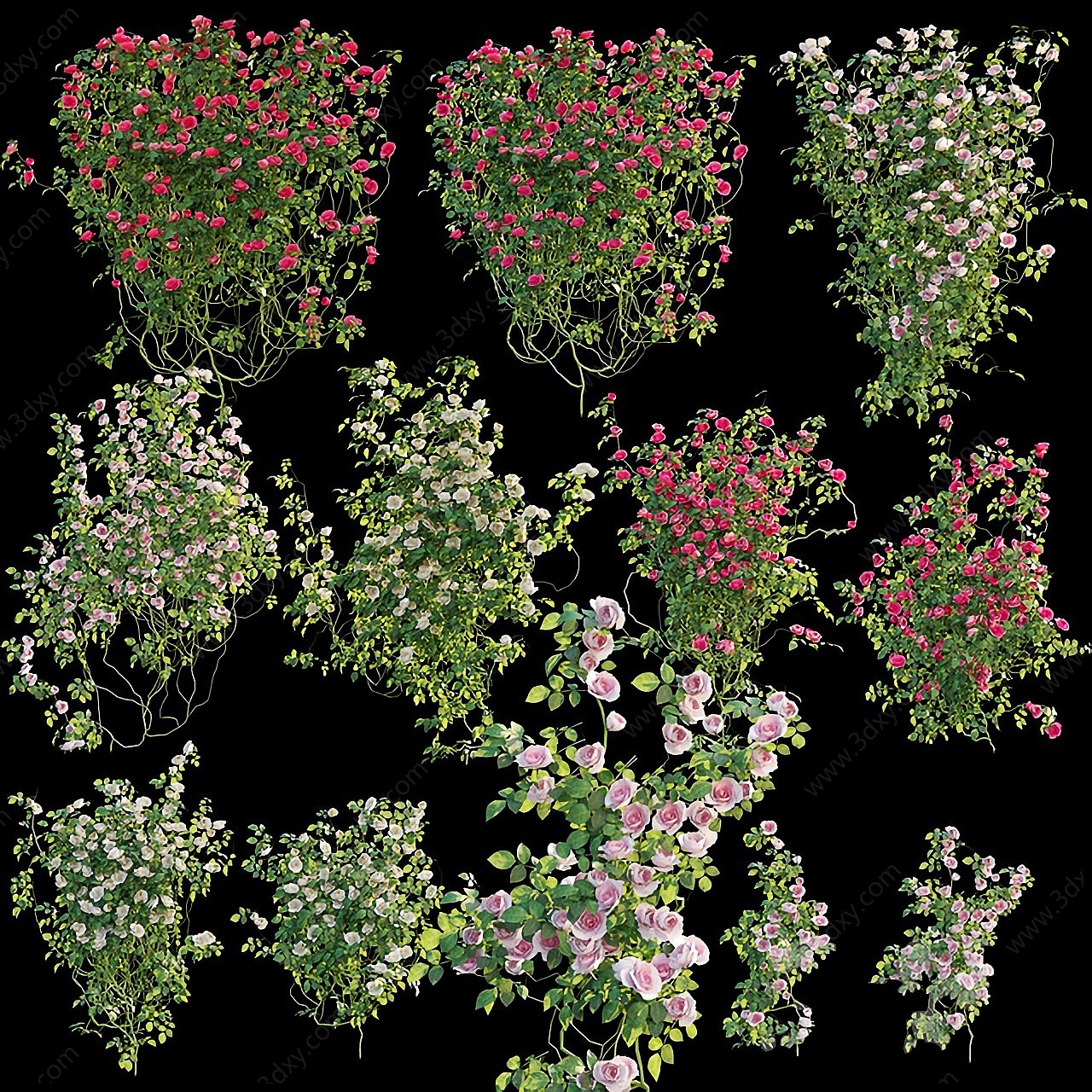 现代蔷薇玫瑰植物墙3D模型