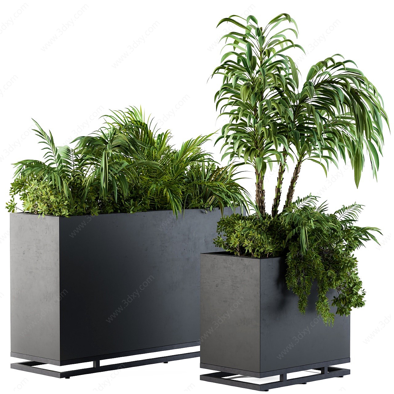 现代植物盆栽种植箱3D模型
