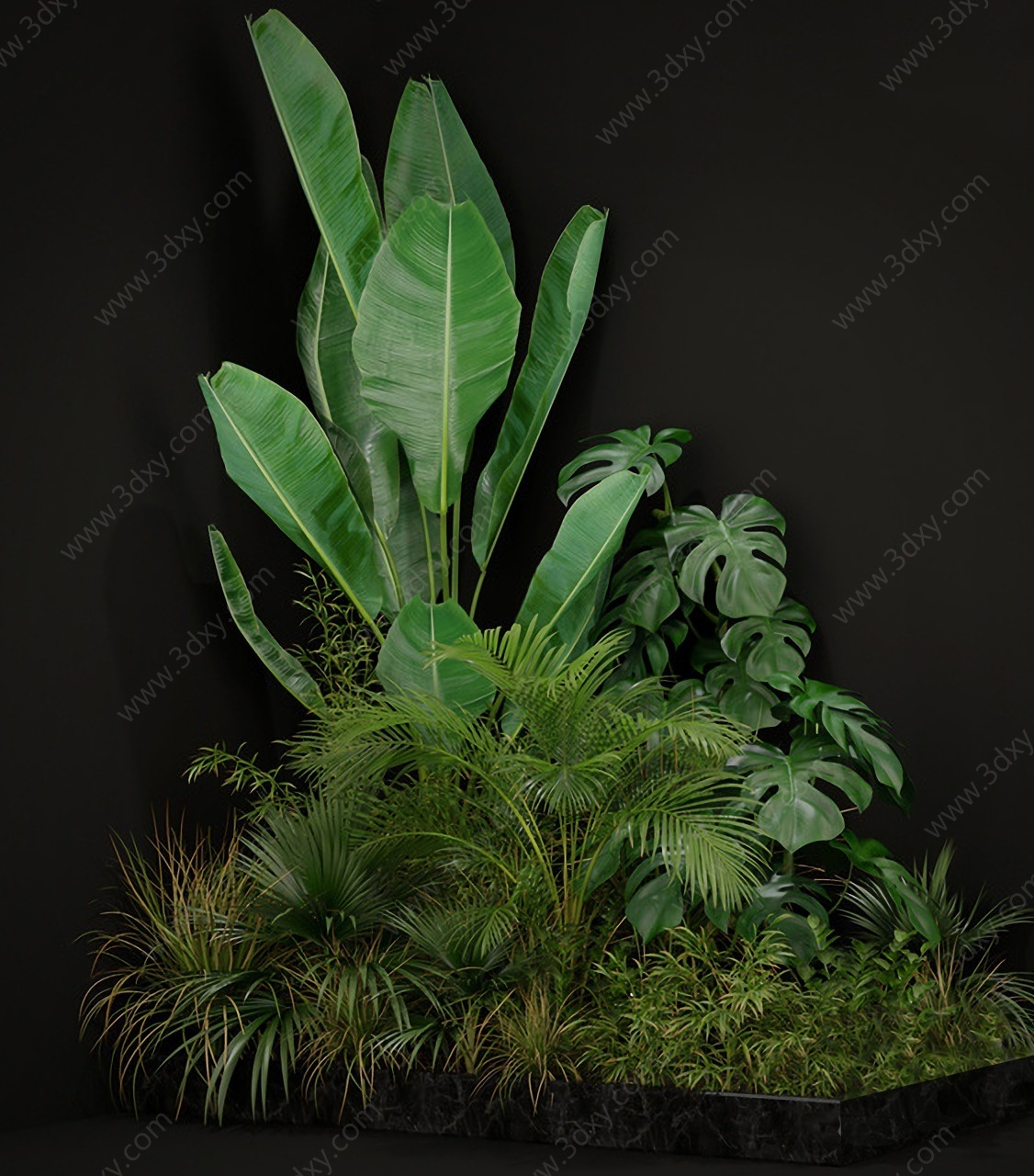 现代绿植植物龟背竹芭蕉3D模型