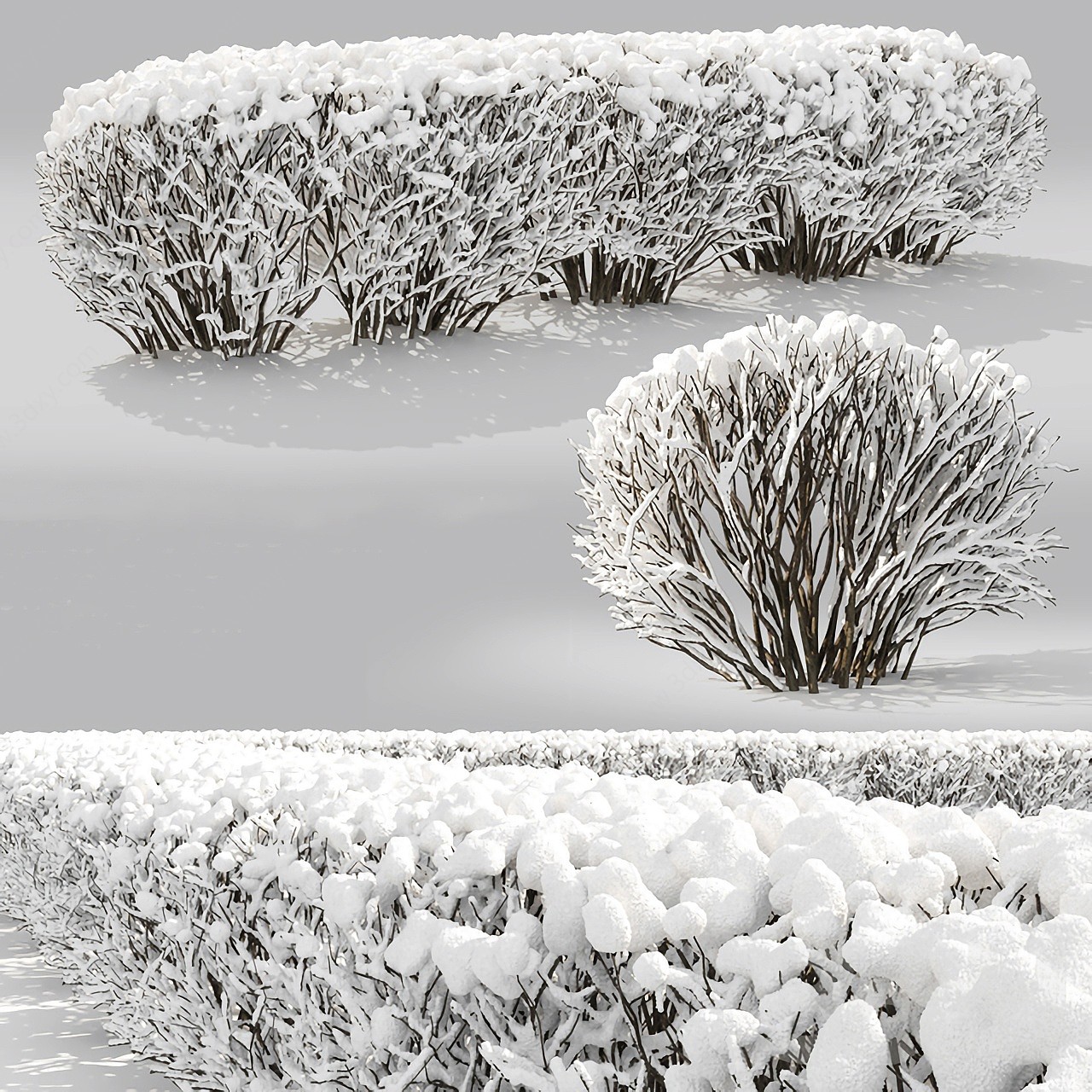 雪景灌木绿篱3D模型