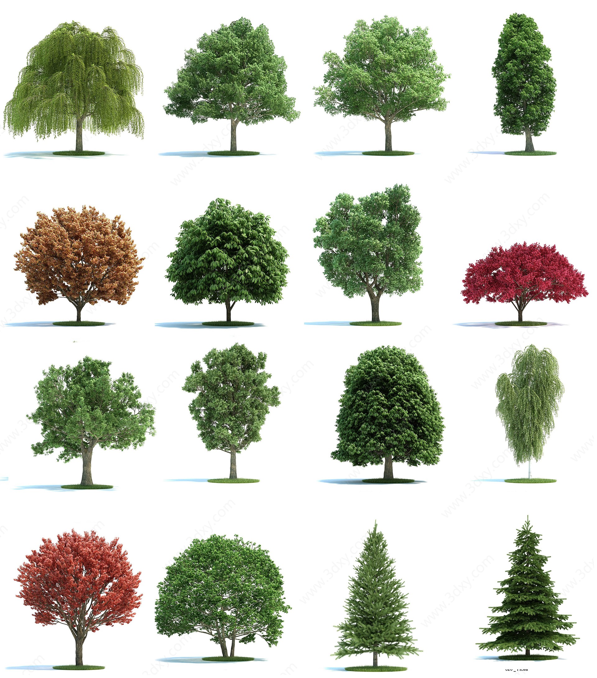 装饰植物树3D模型