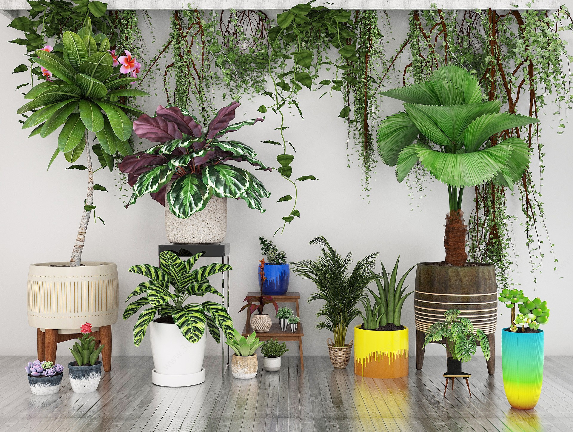 室内植物花3D模型