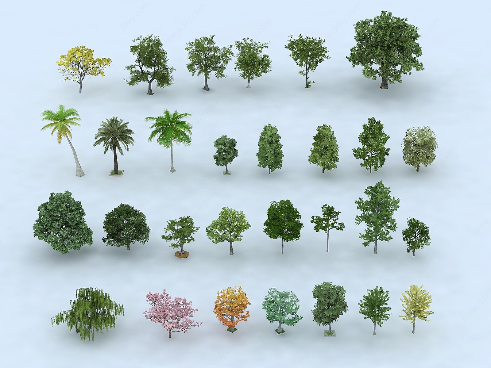 树木组合3D模型