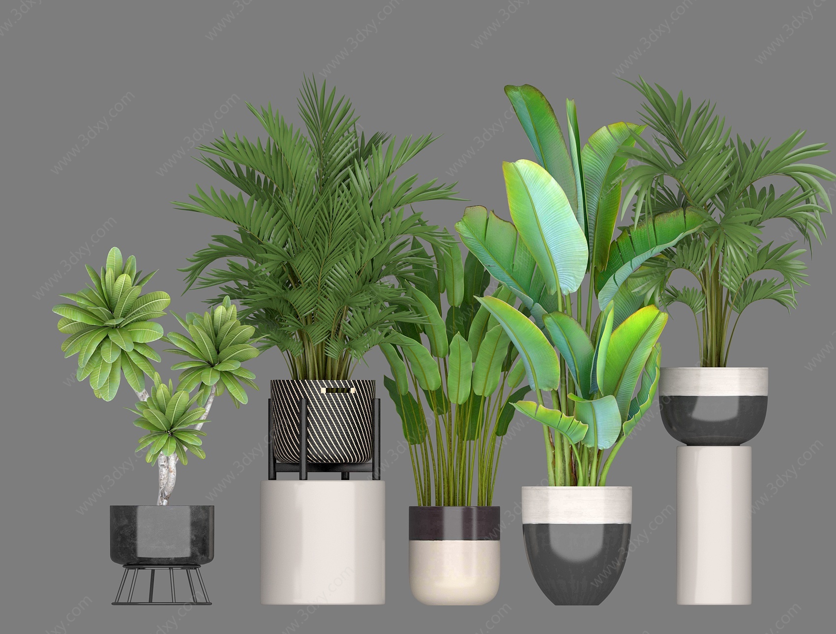 植物盆栽组合3D模型