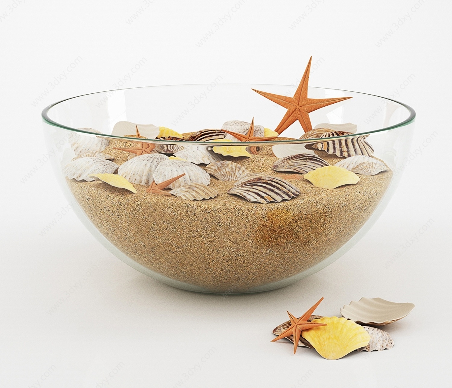 沙子扇贝玻璃器皿装饰品3D模型