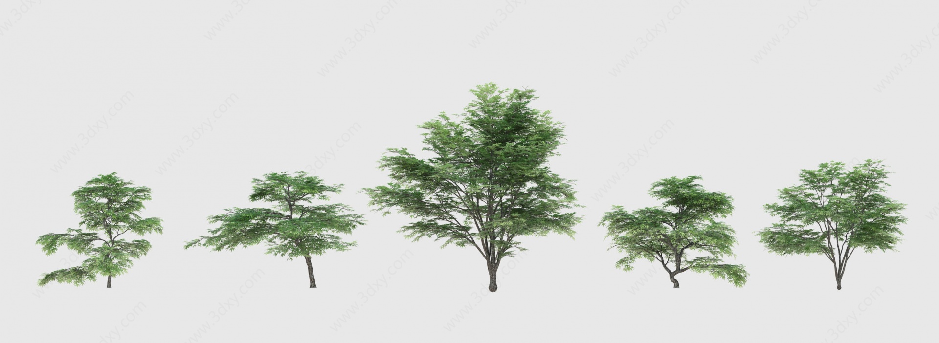 现代树木灌木树3D模型