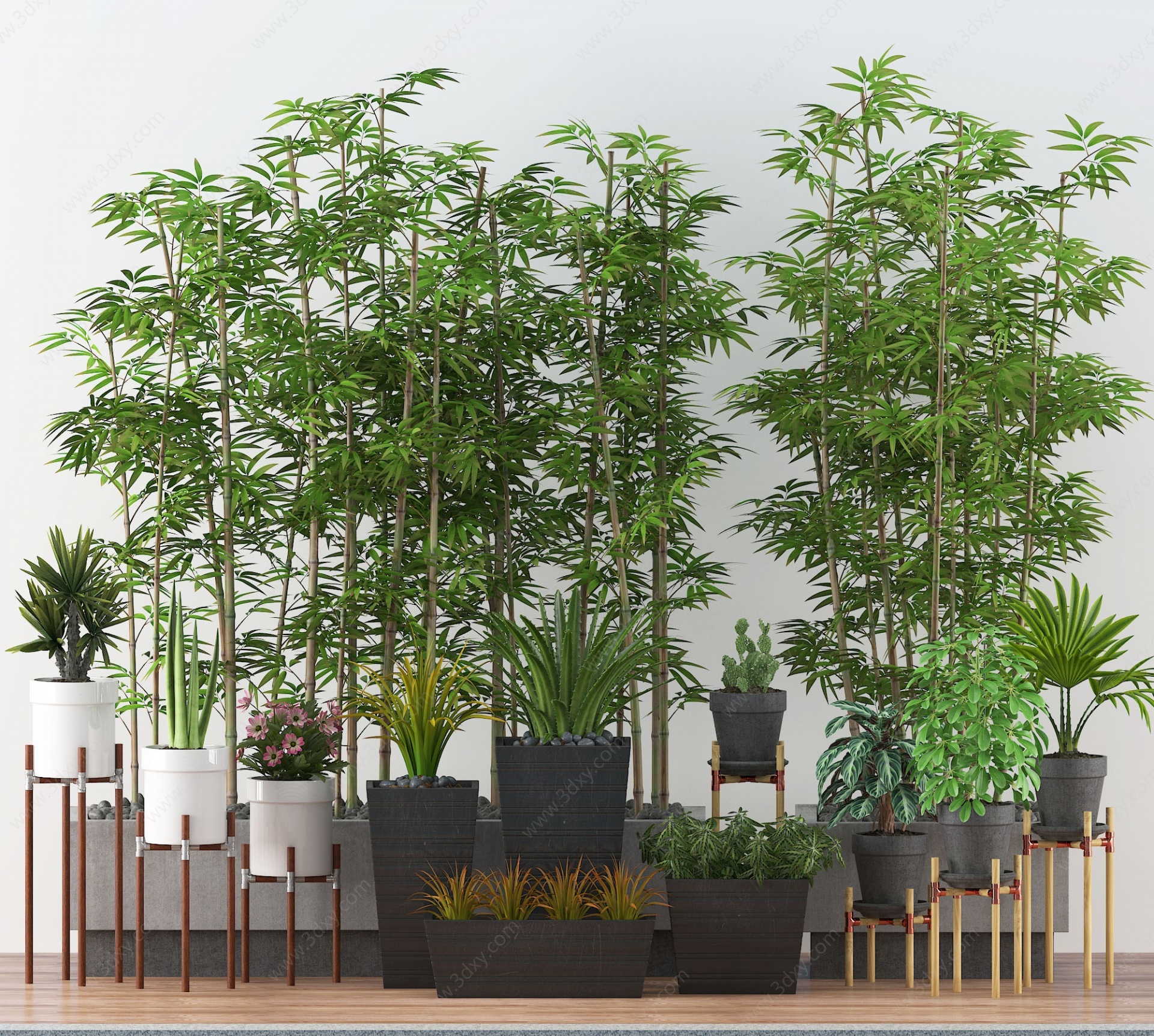 现代竹子绿植盆栽组合3D模型
