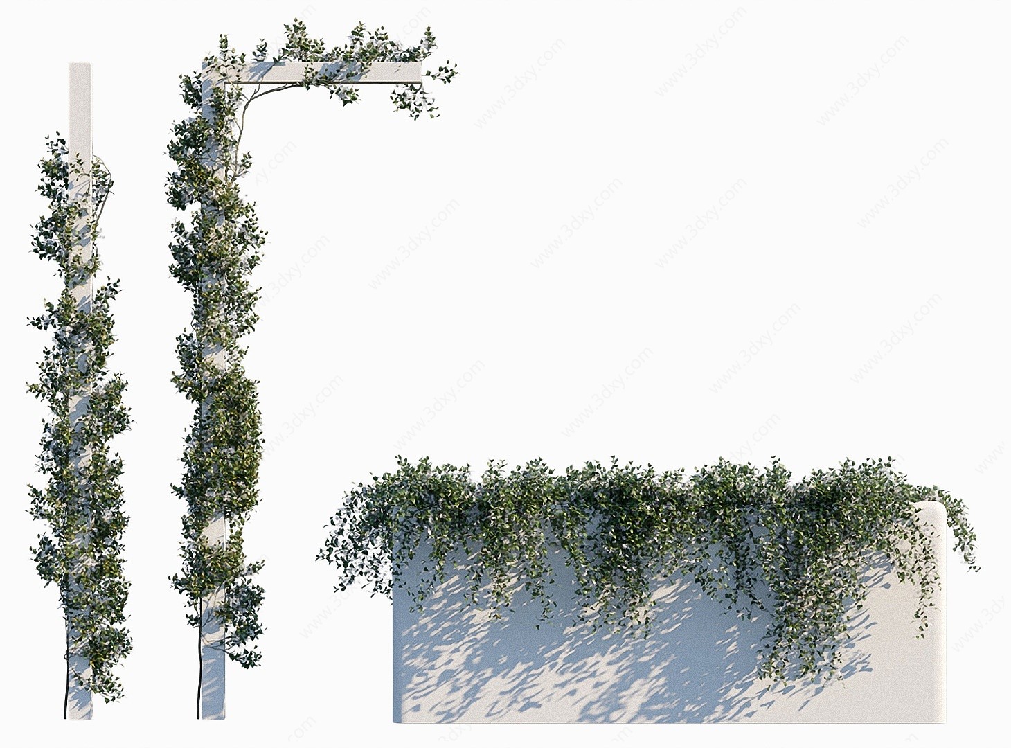 现代绿植縢蔓植物墙络石藤3D模型
