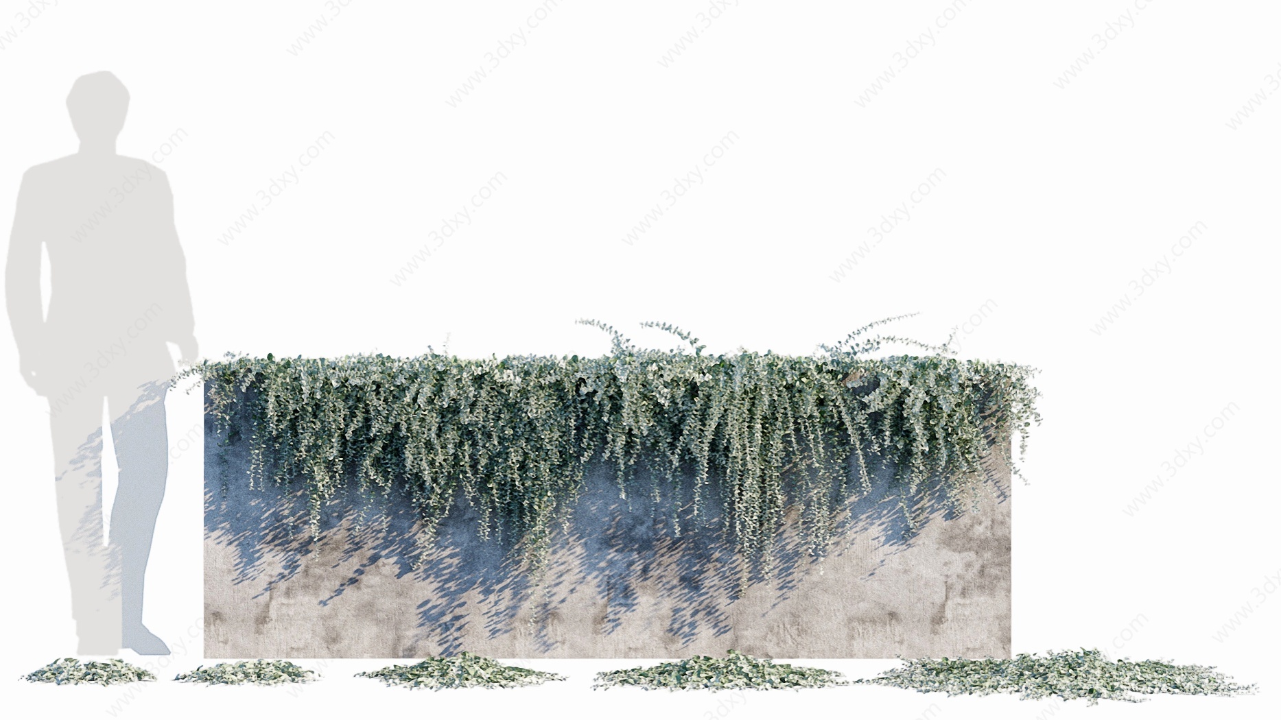 现代绿植縢蔓植物墙马蹄金3D模型