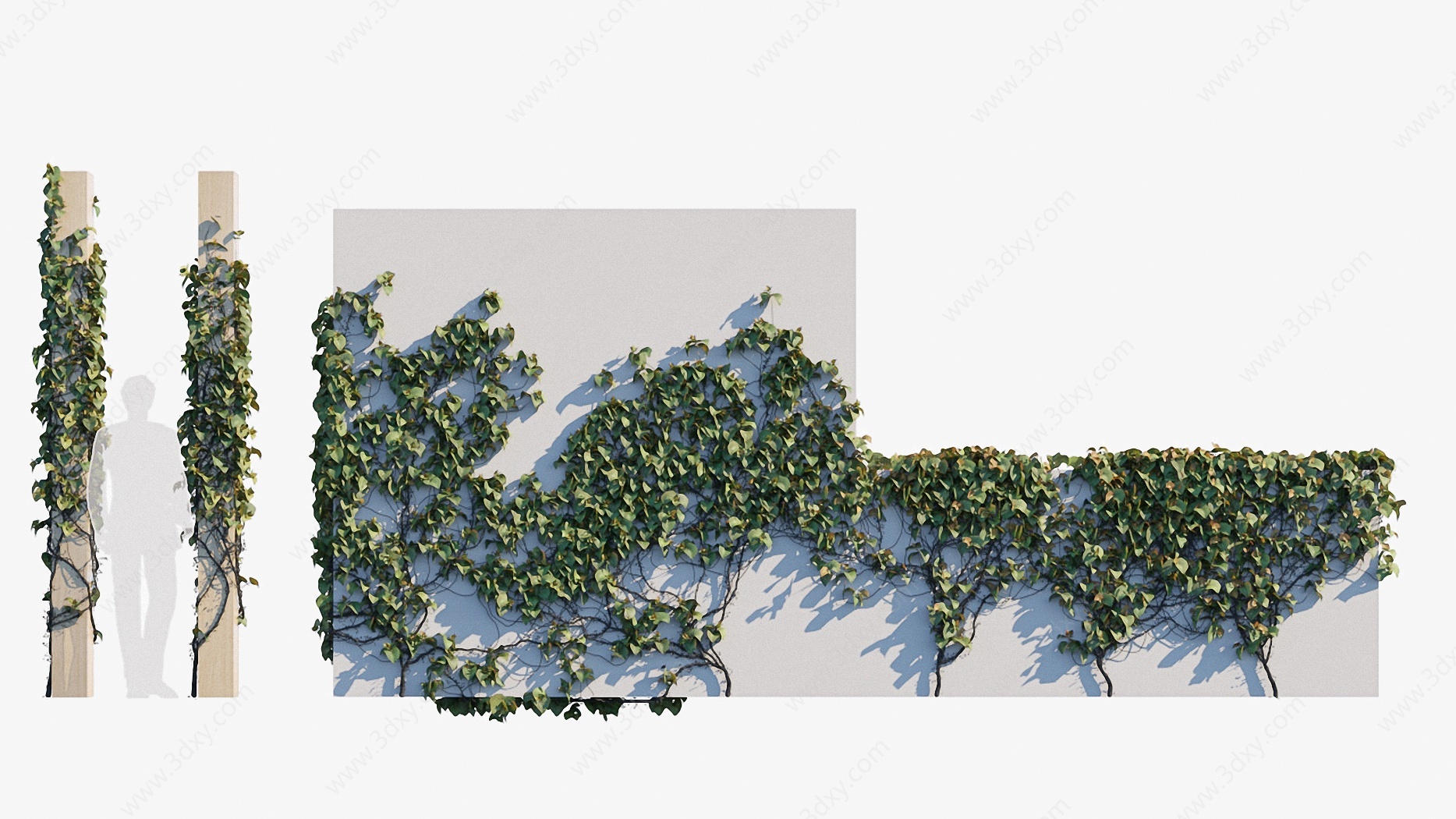 现代绿植縢蔓紫葛葡萄3D模型