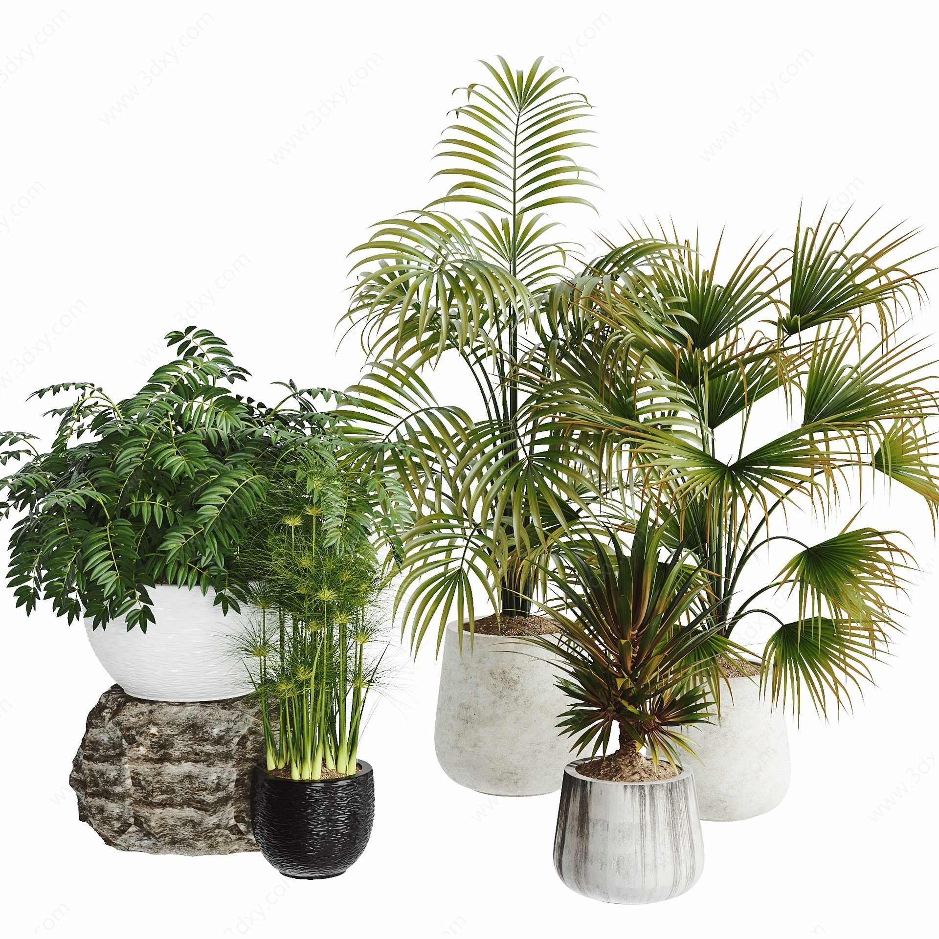 现代植物3D模型