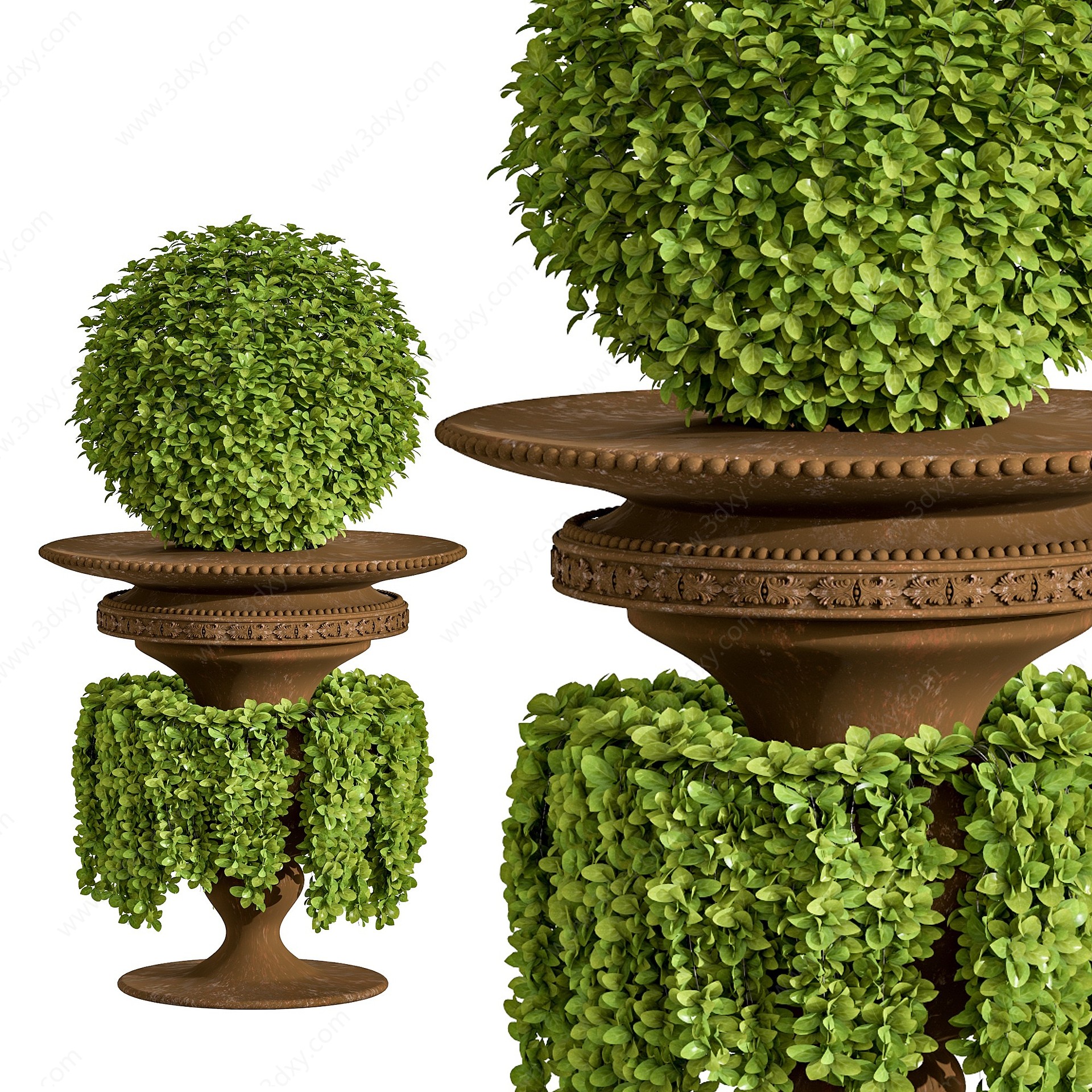 现代植物花坛景观植物3D模型