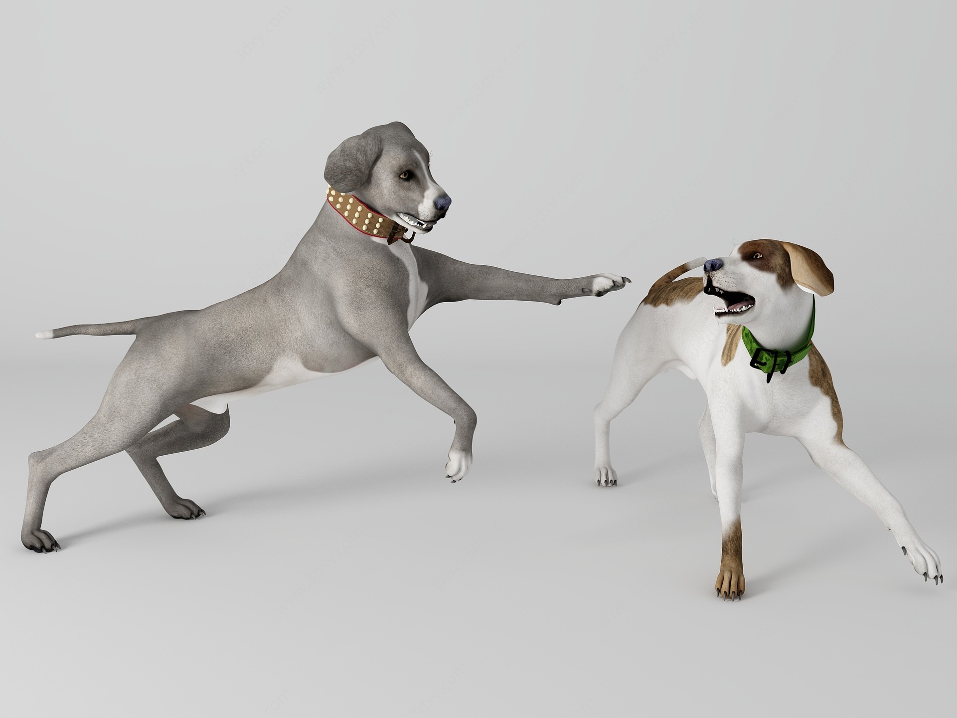 宠物狗3D模型