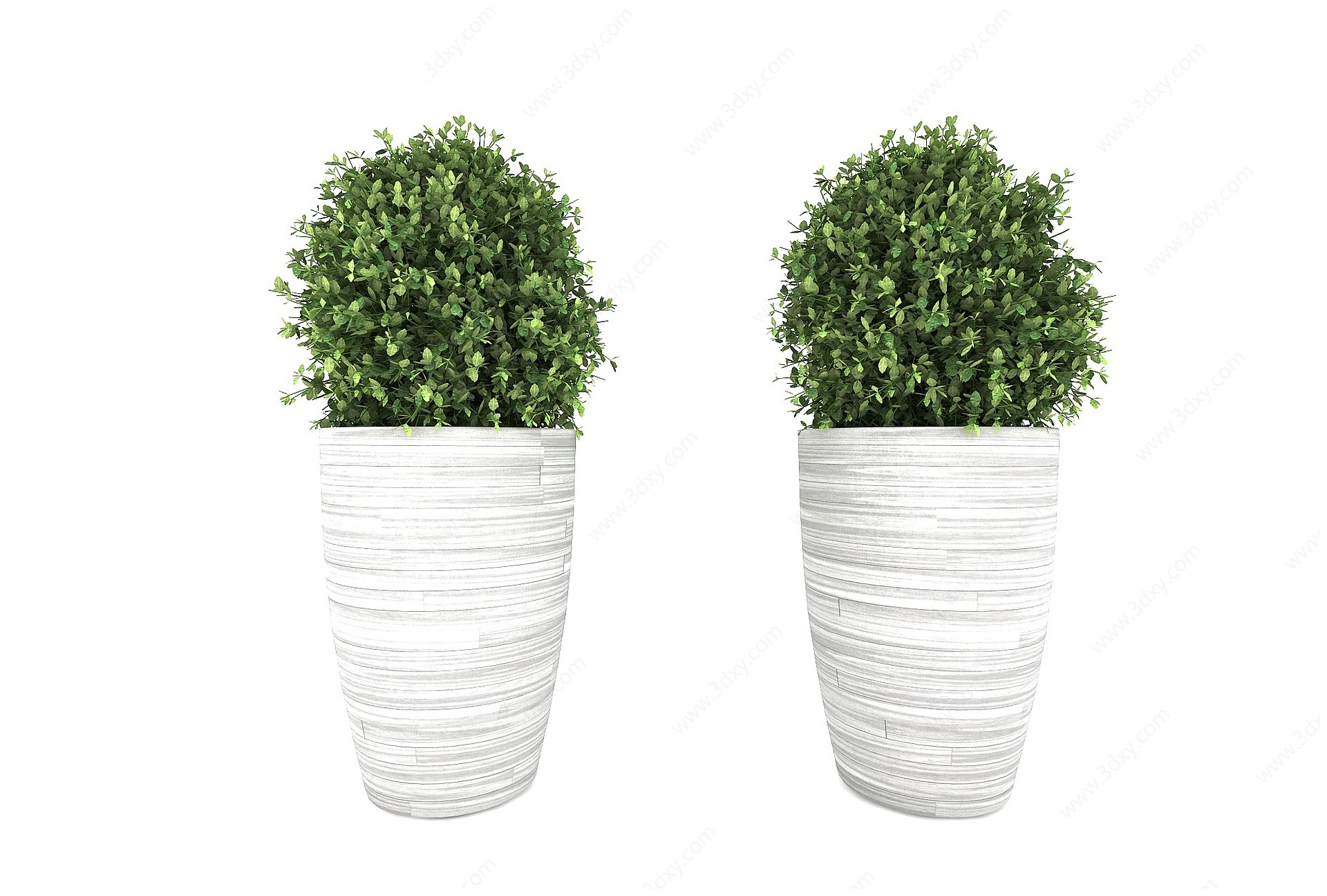 绿植植物3D模型