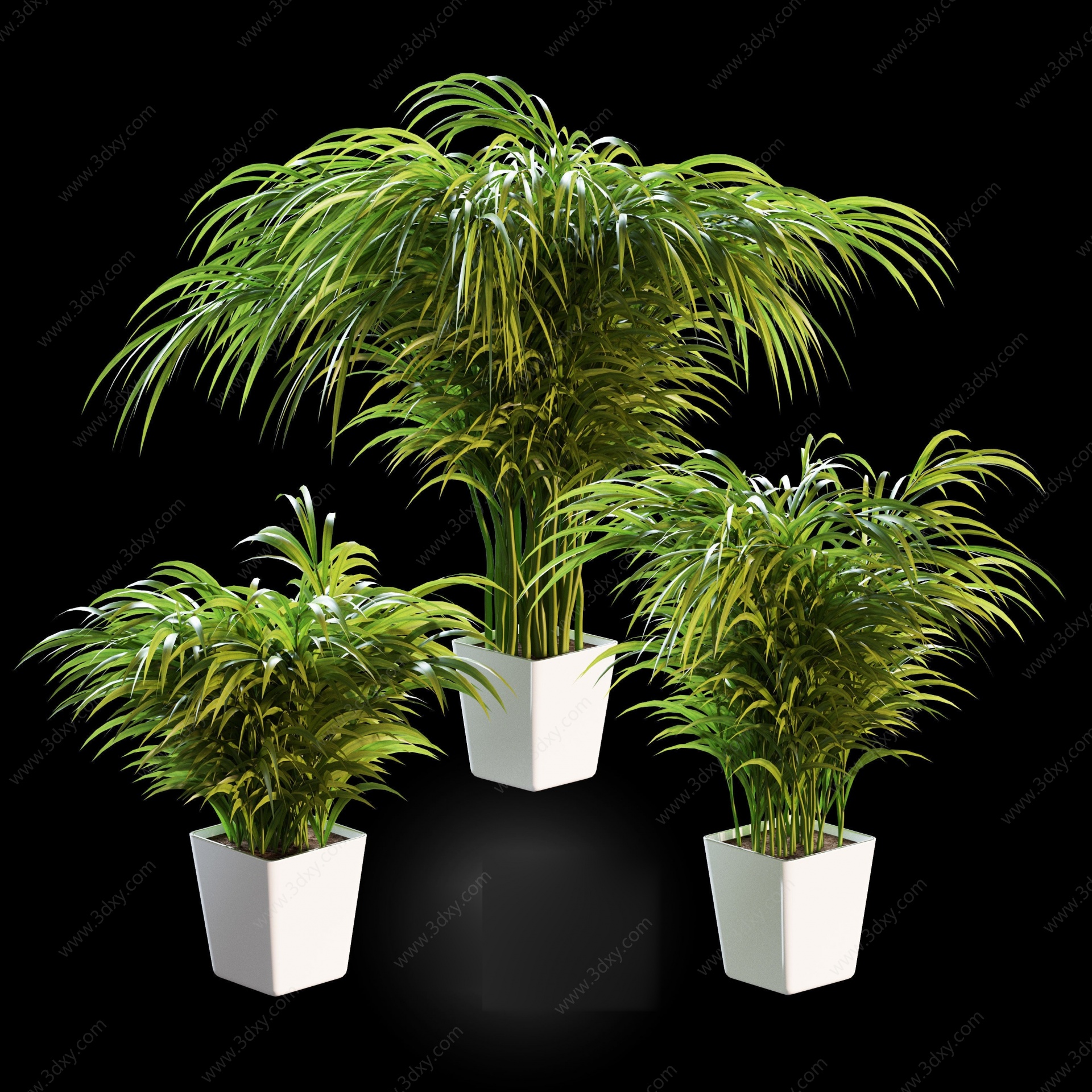 现代绿植竹子盆栽3D模型