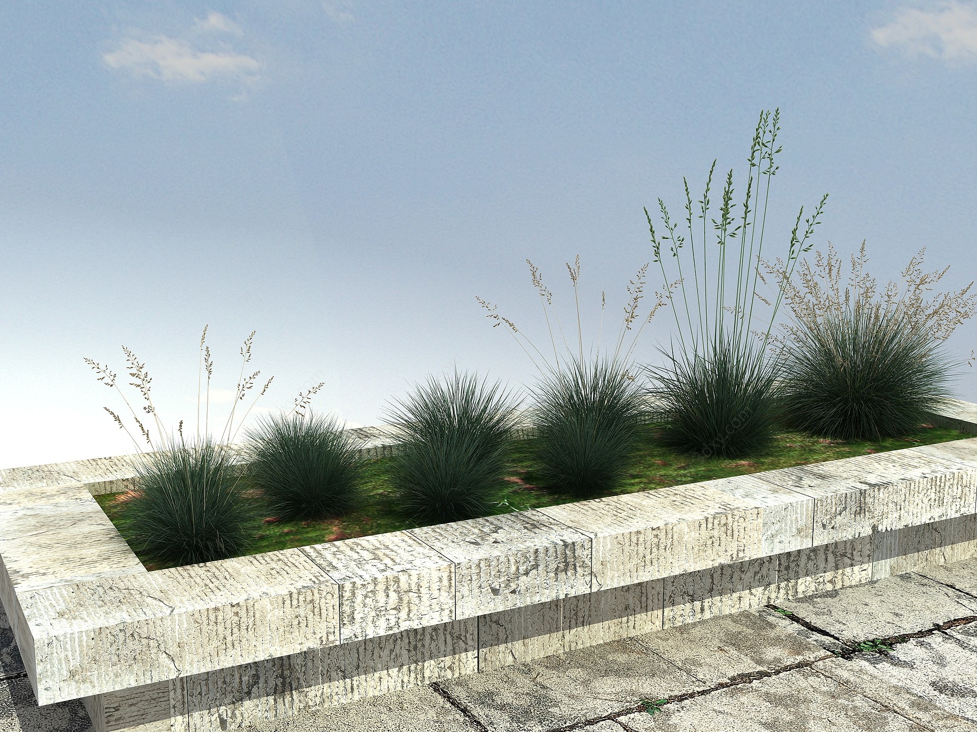 草本植物3D模型