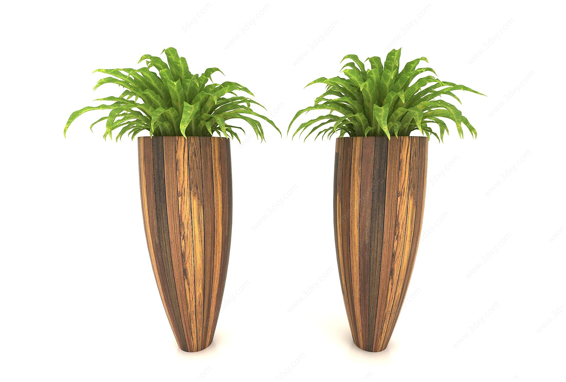 植物3D模型