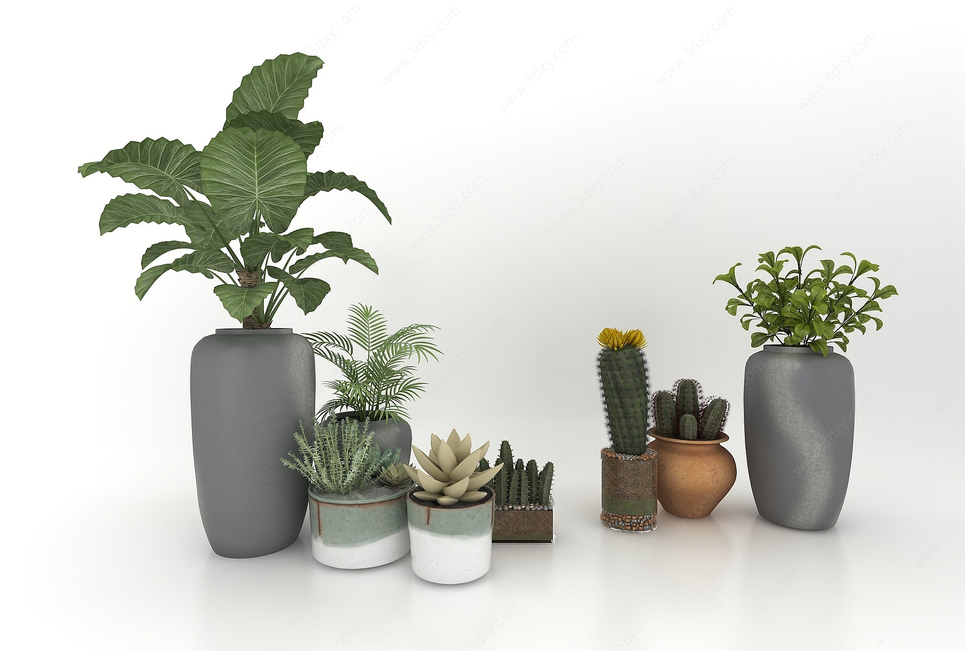 绿植盆栽3D模型