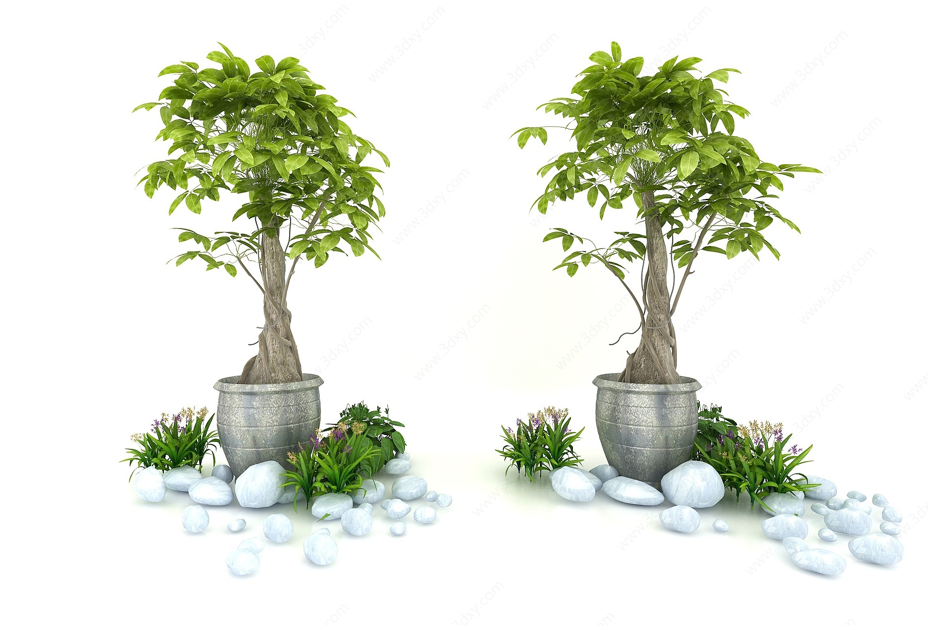 发财树3D模型