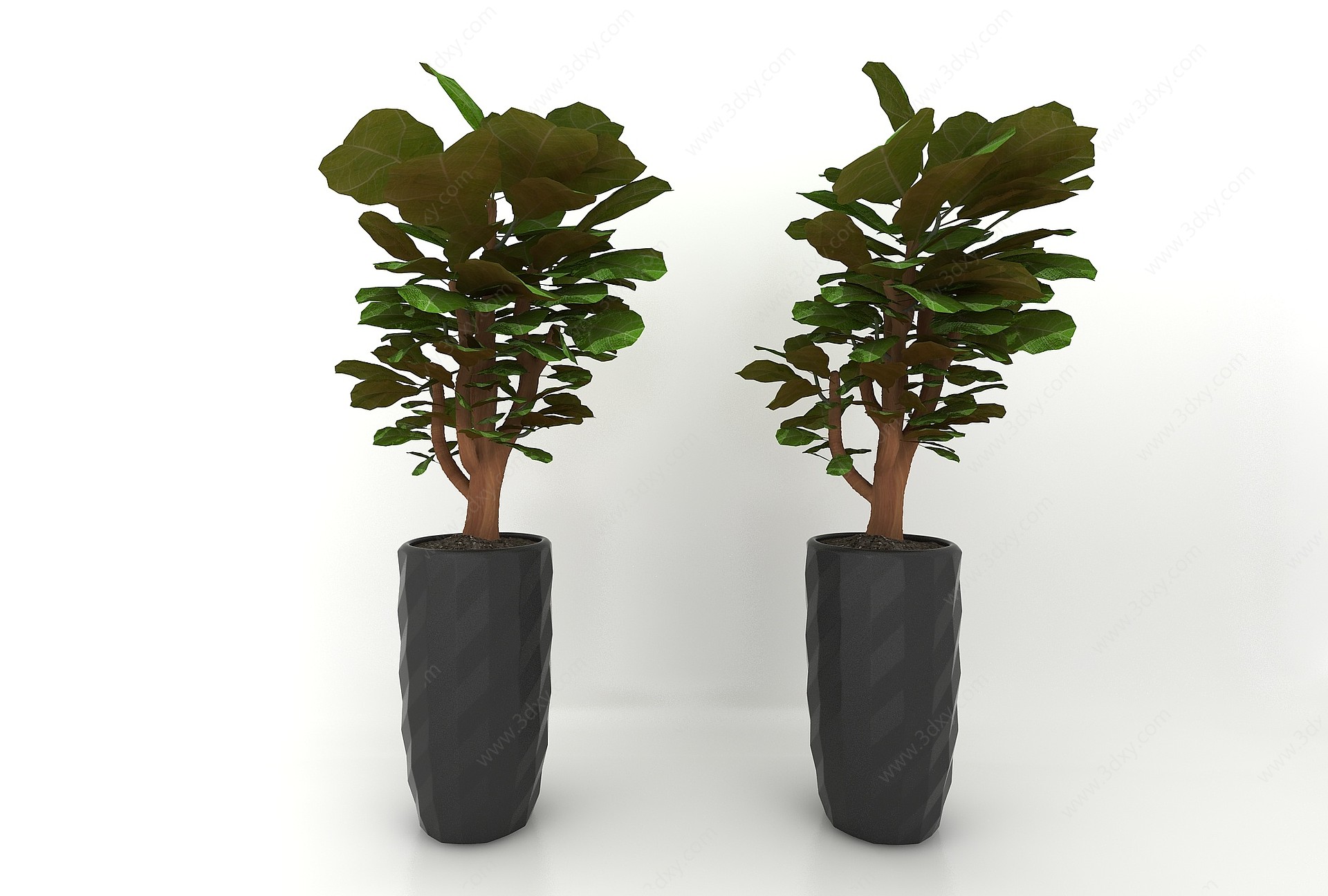 植物3D模型
