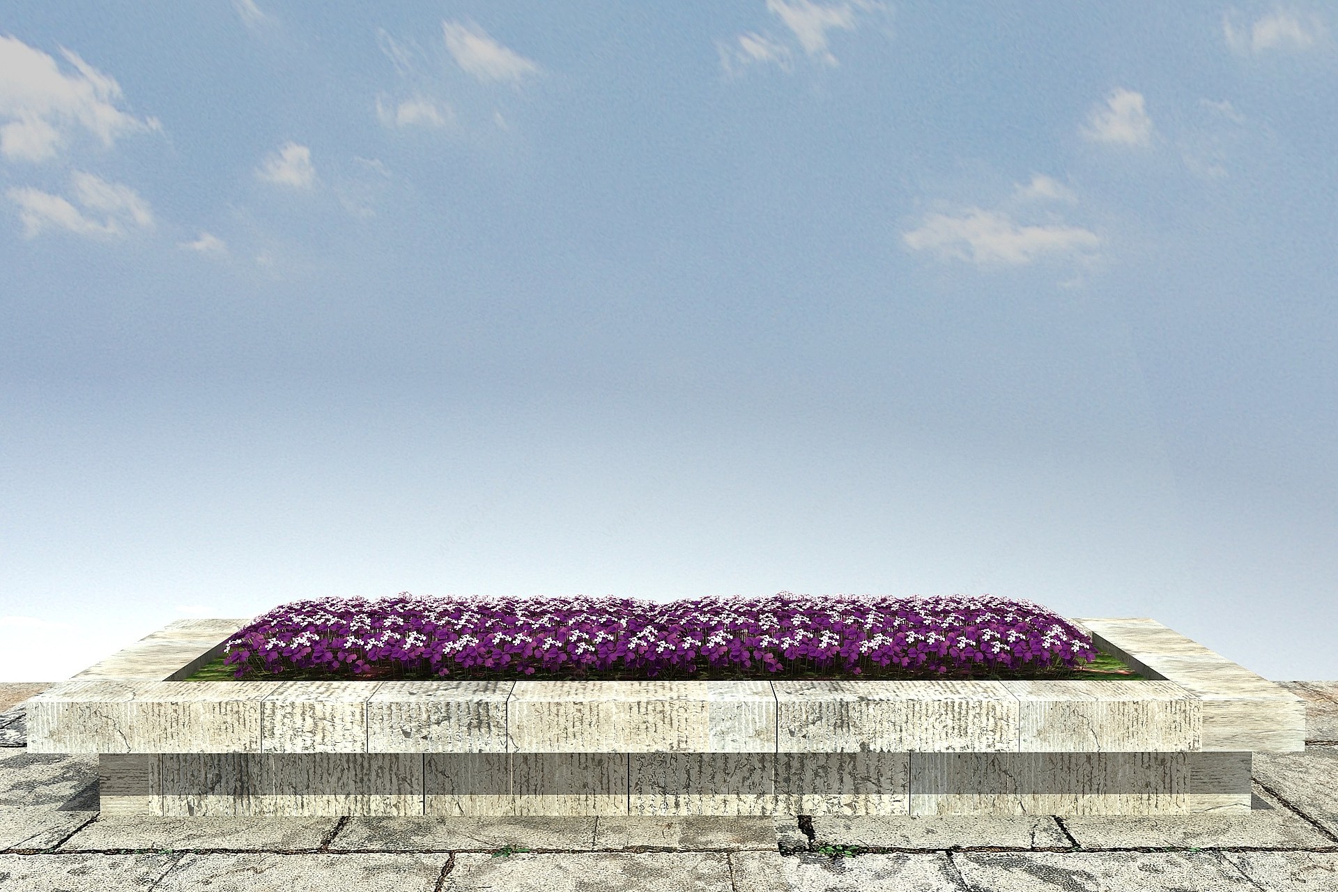 紫叶酢浆草3D模型
