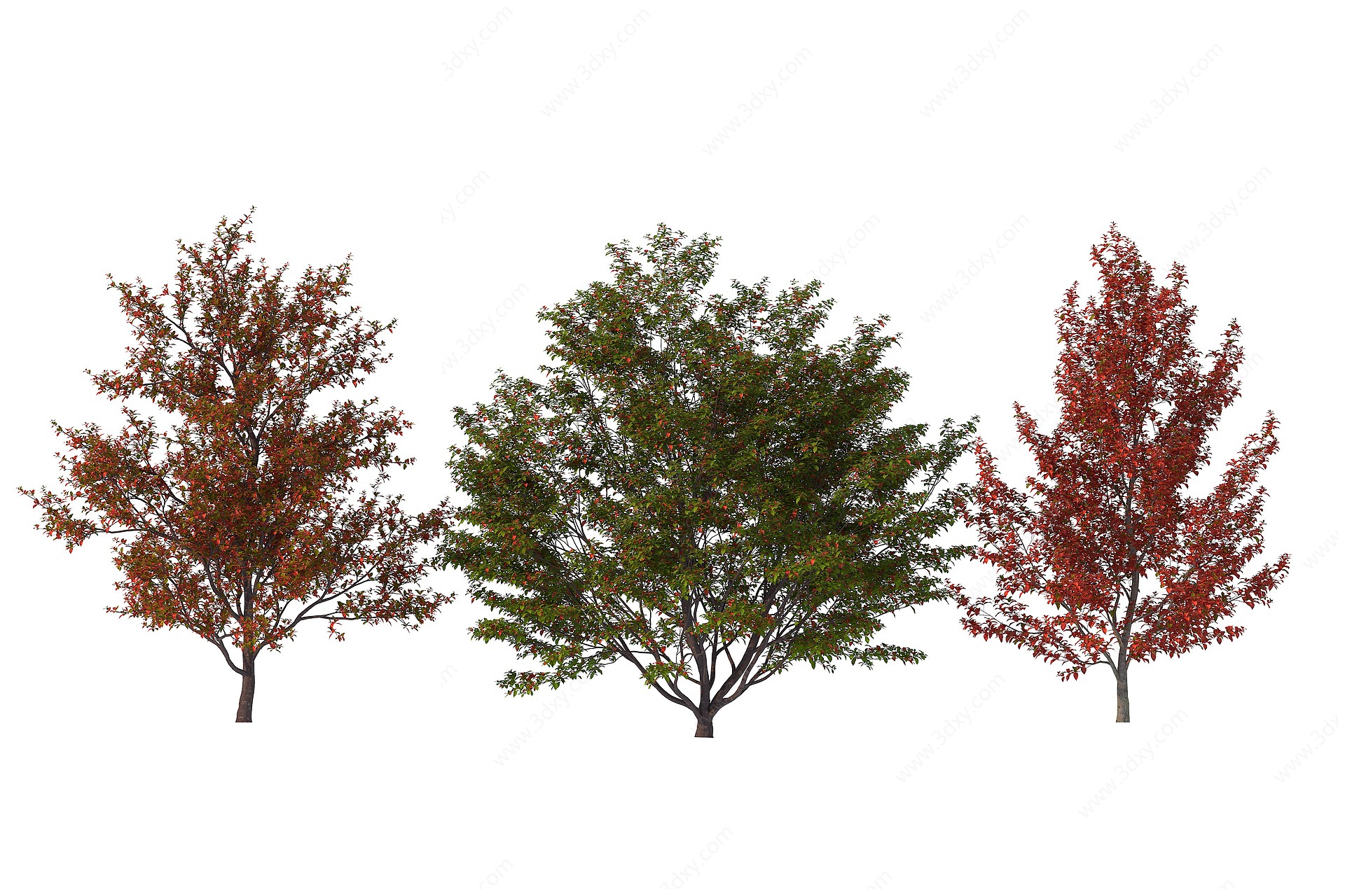 现代树木3D模型