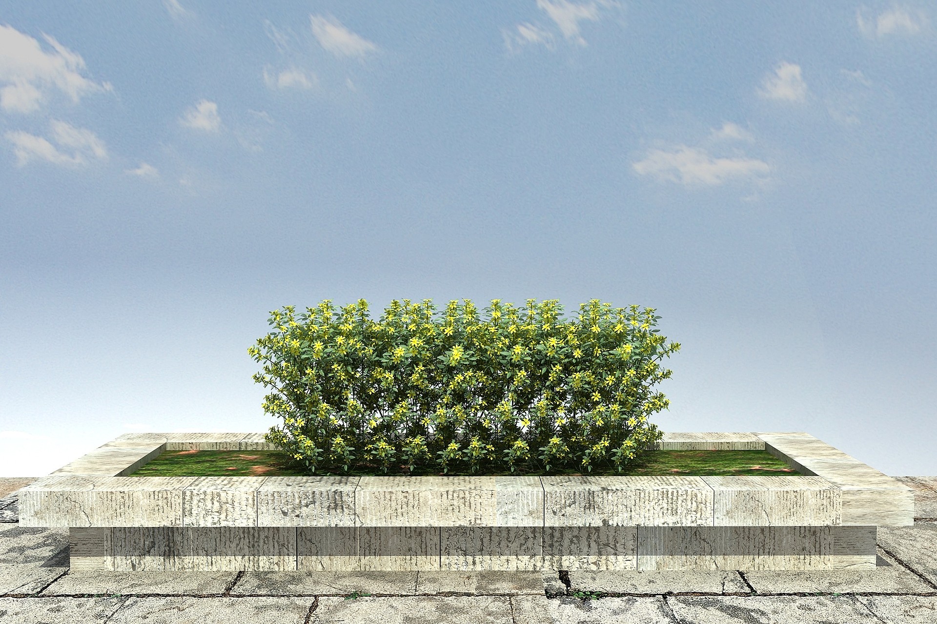 迎春柳绿篱3D模型