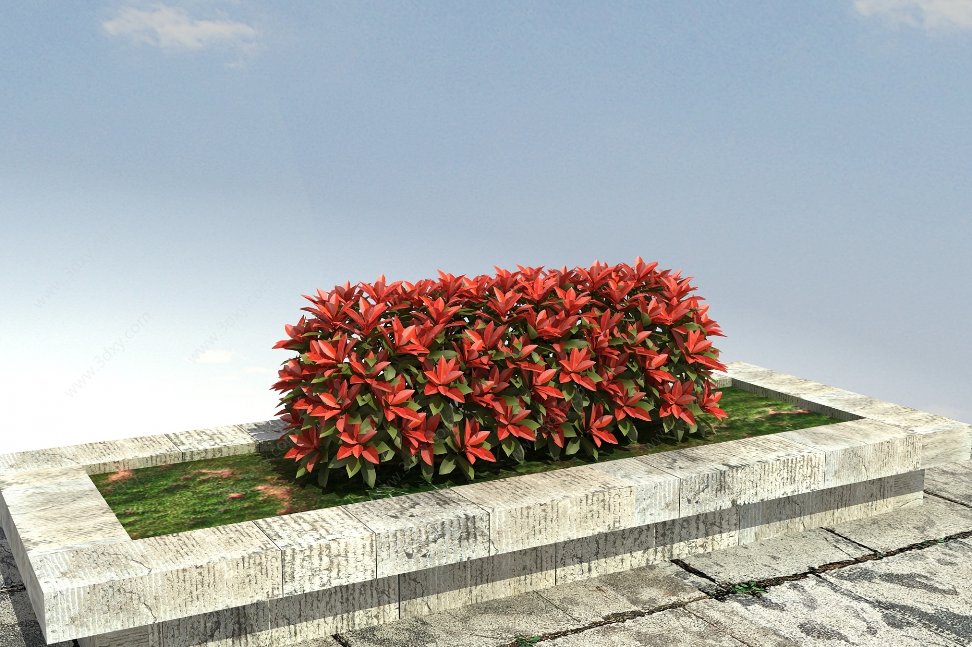 红叶石楠l绿篱3D模型