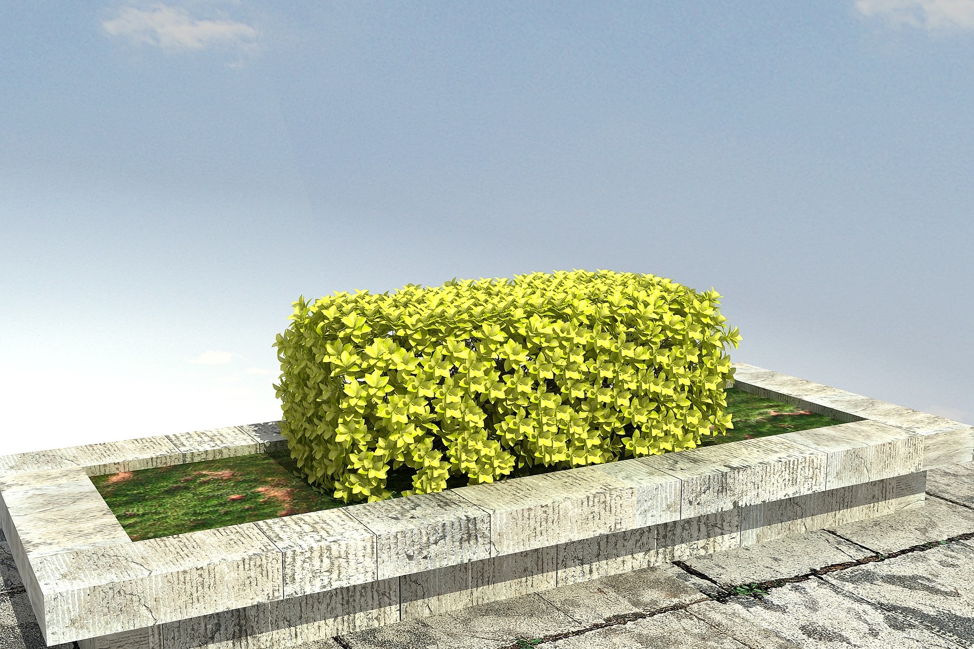 黄金榕绿篱3D模型