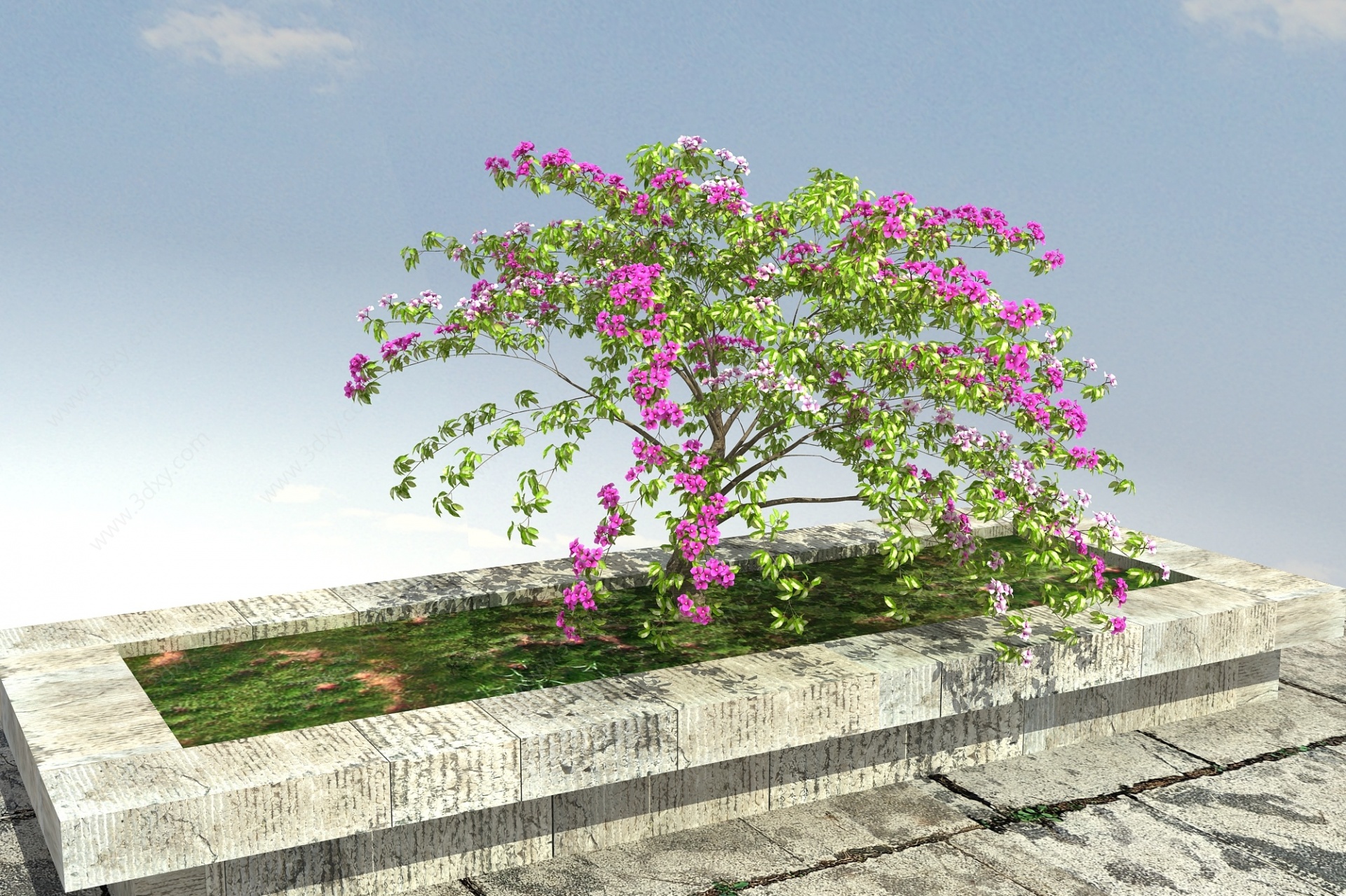 叶子花丛景观植物3D模型
