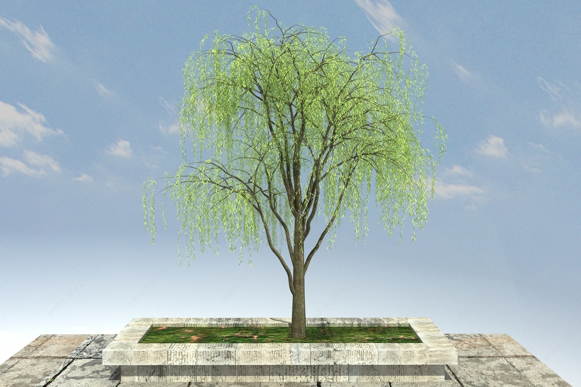 垂柳景观植物3D模型