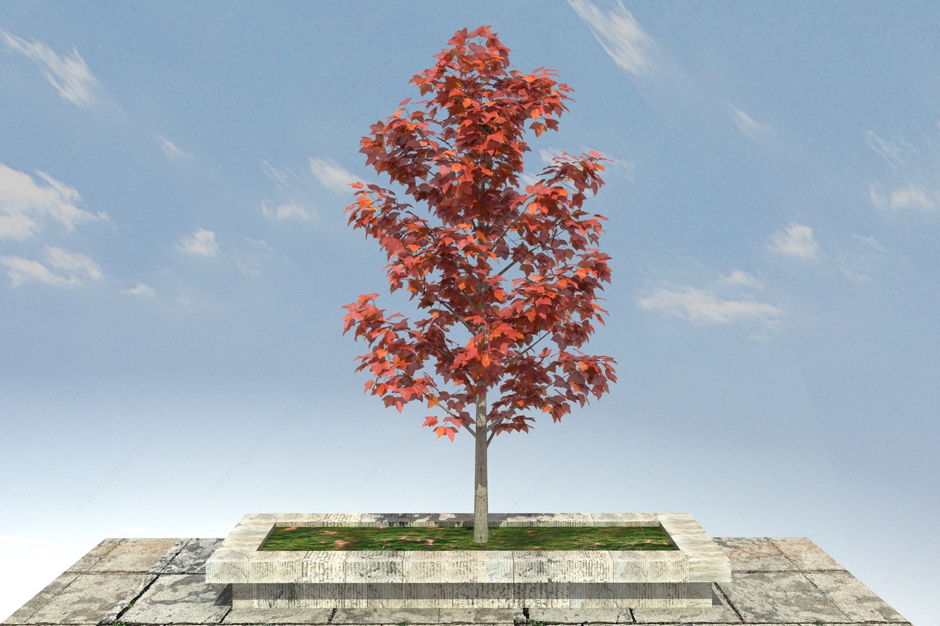 枫香景观植物3D模型