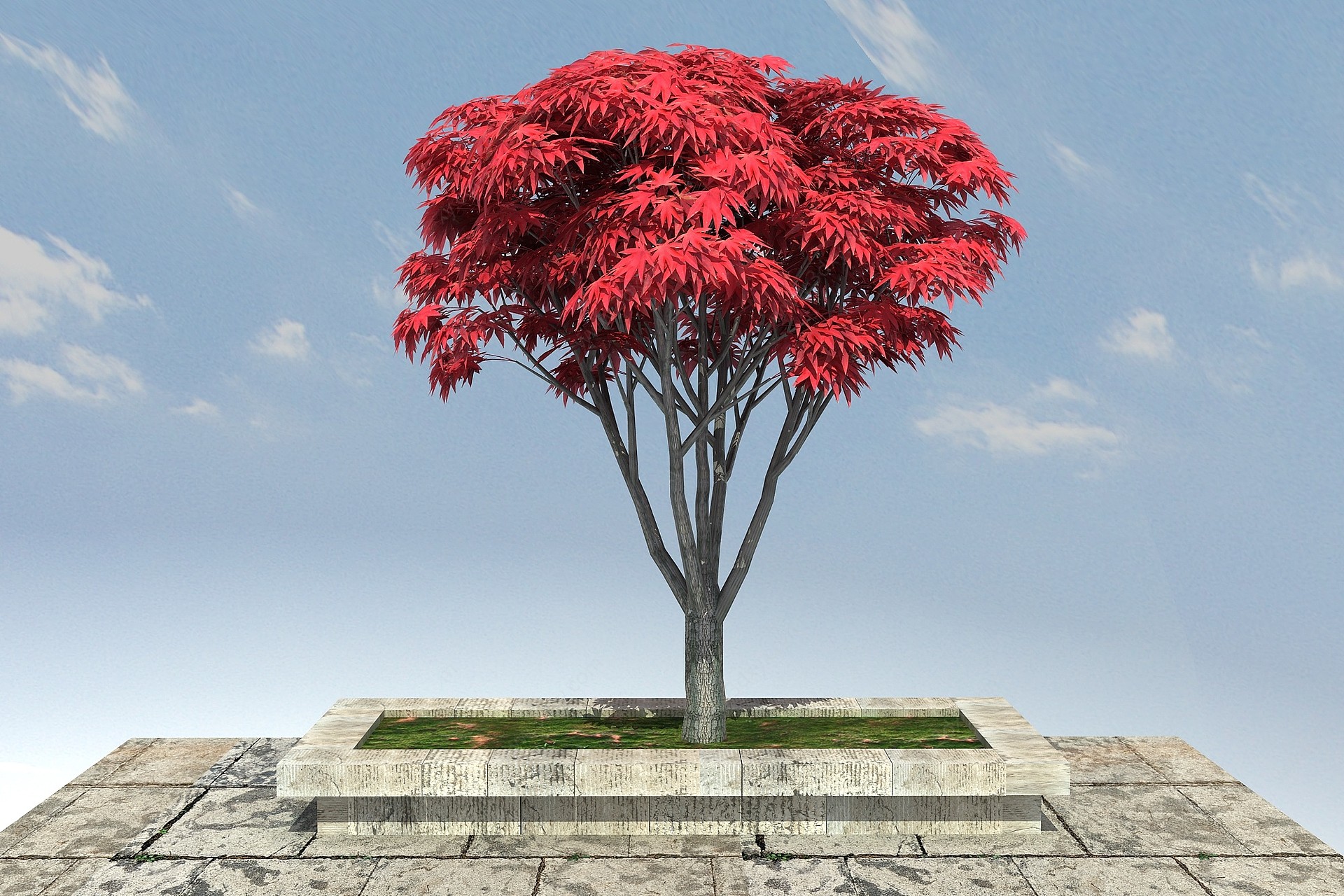 红枫景观植物3D模型
