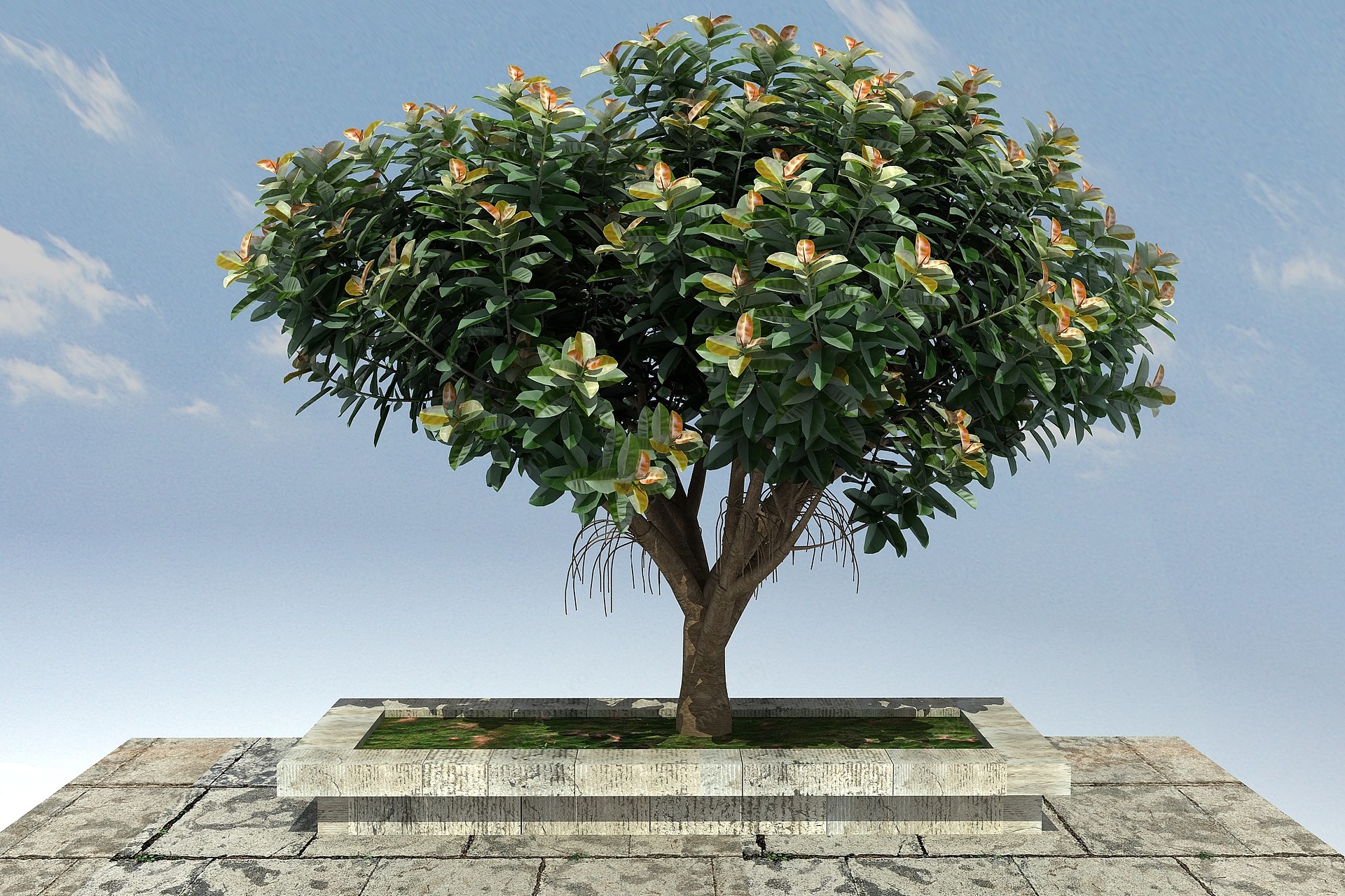 橡皮榕大景观植物3D模型