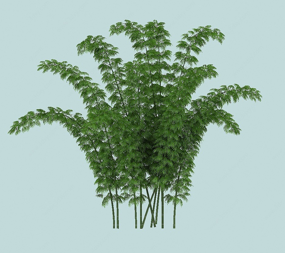 麻竹景观植物3D模型