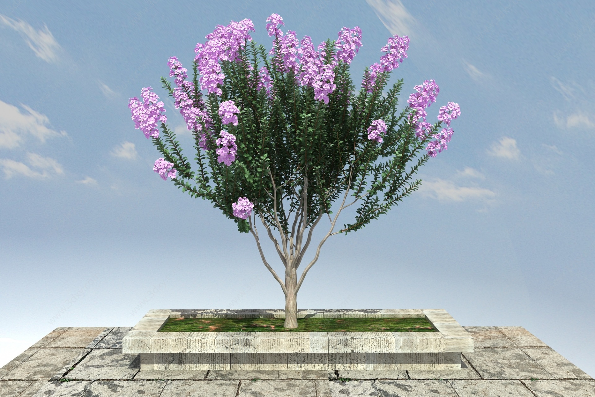 紫薇景观植物3D模型