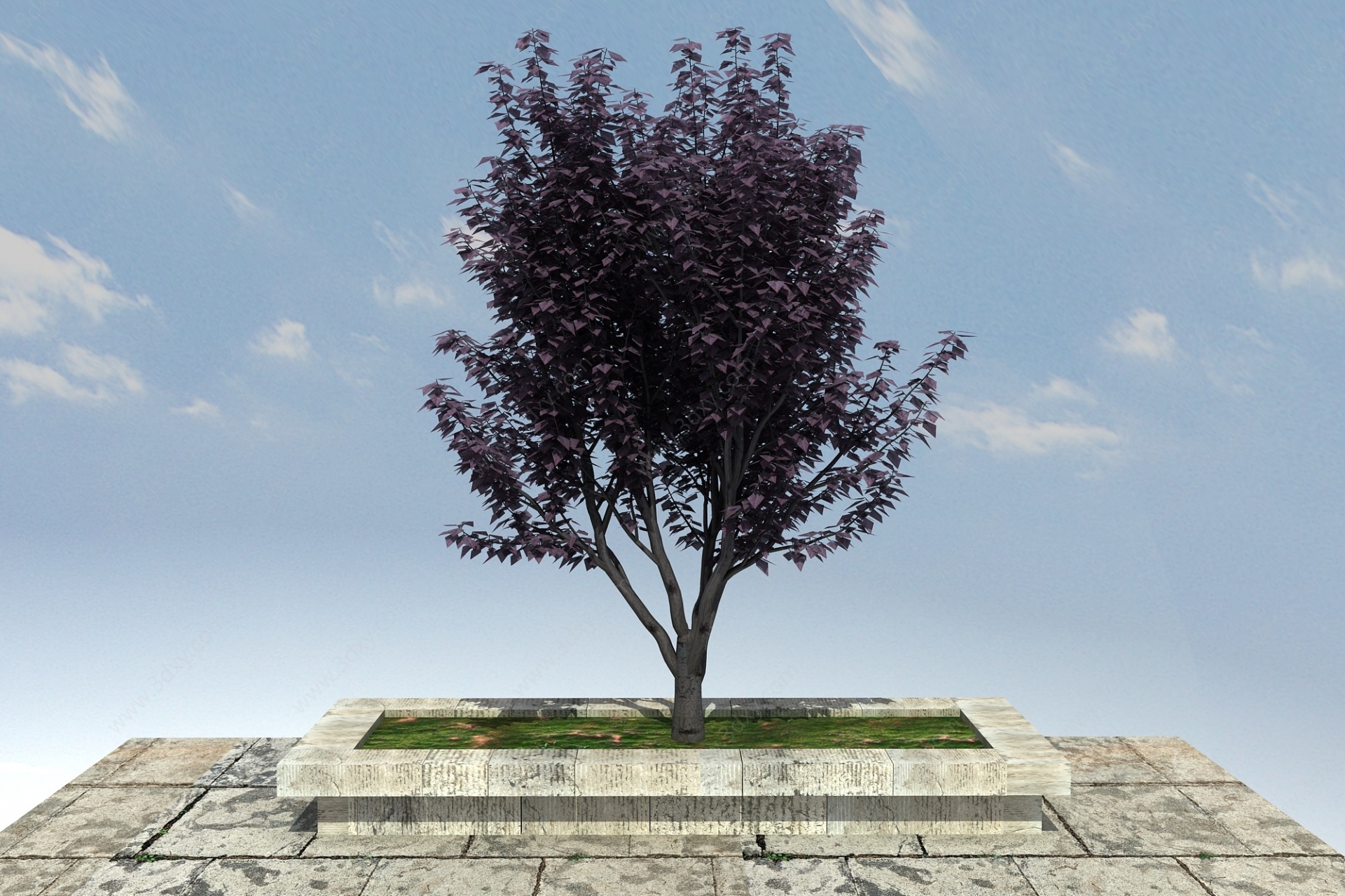 紫叶李景观植物3D模型