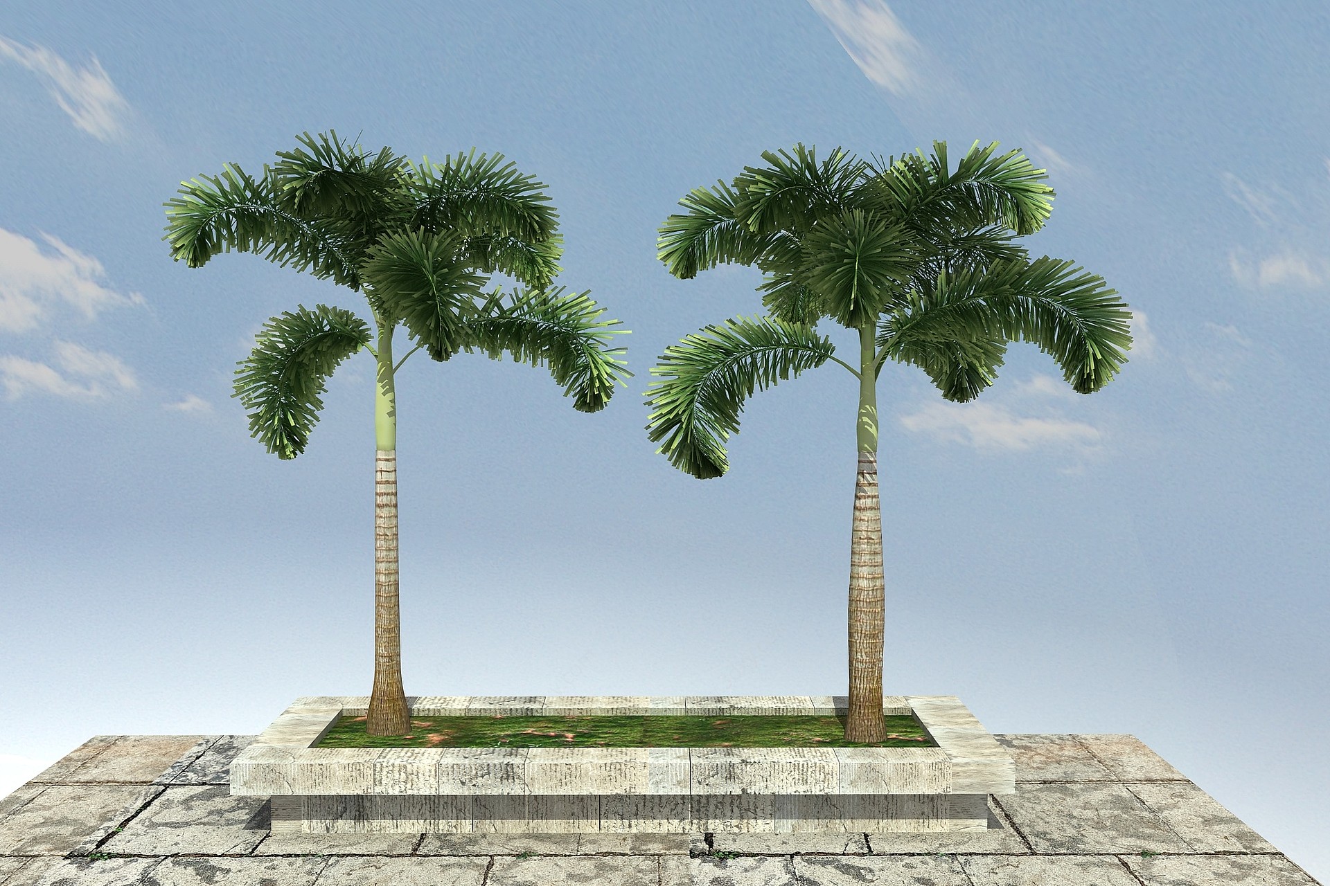 狐尾椰景观植物3D模型