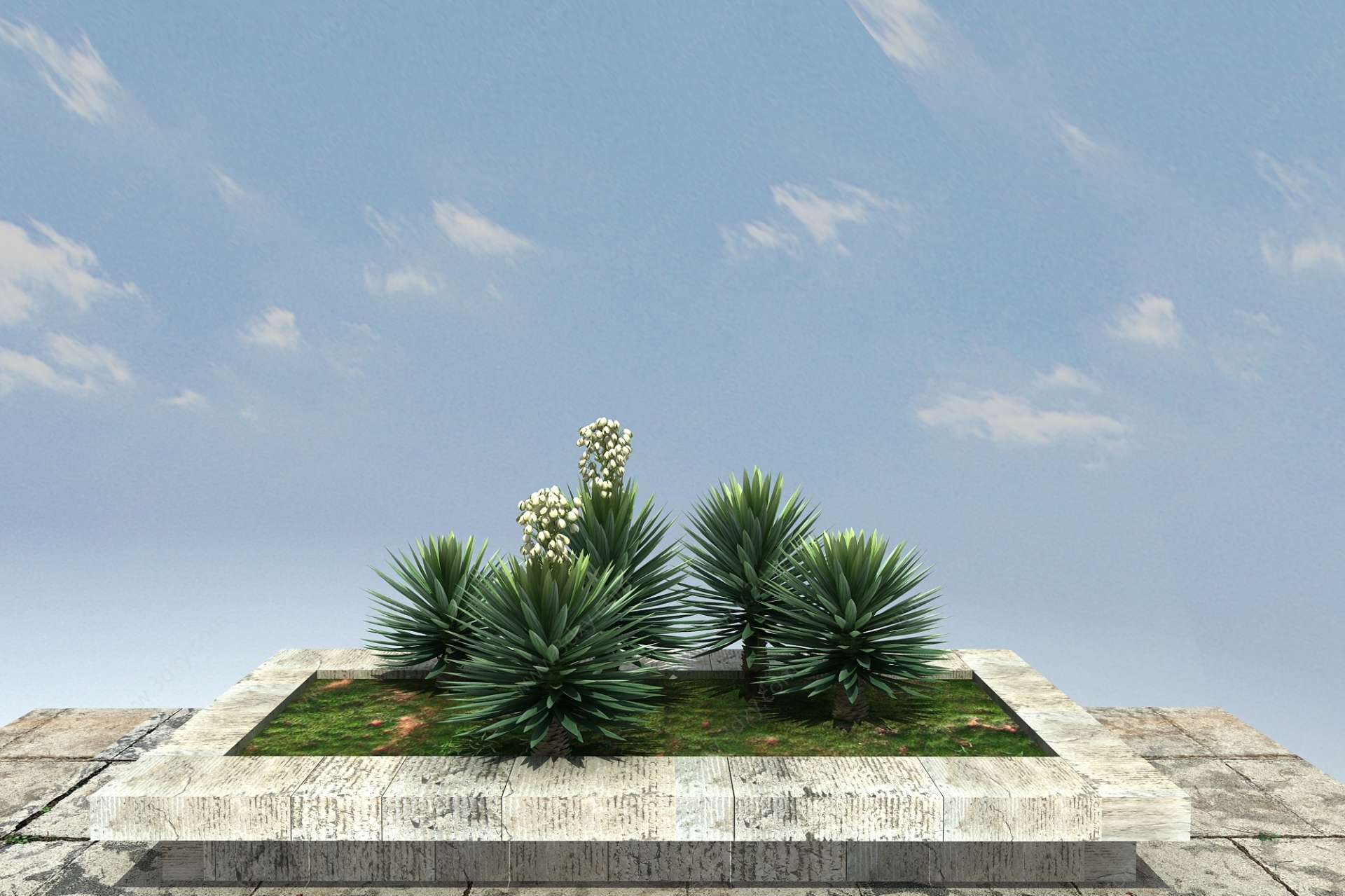 丝兰景观植物3D模型