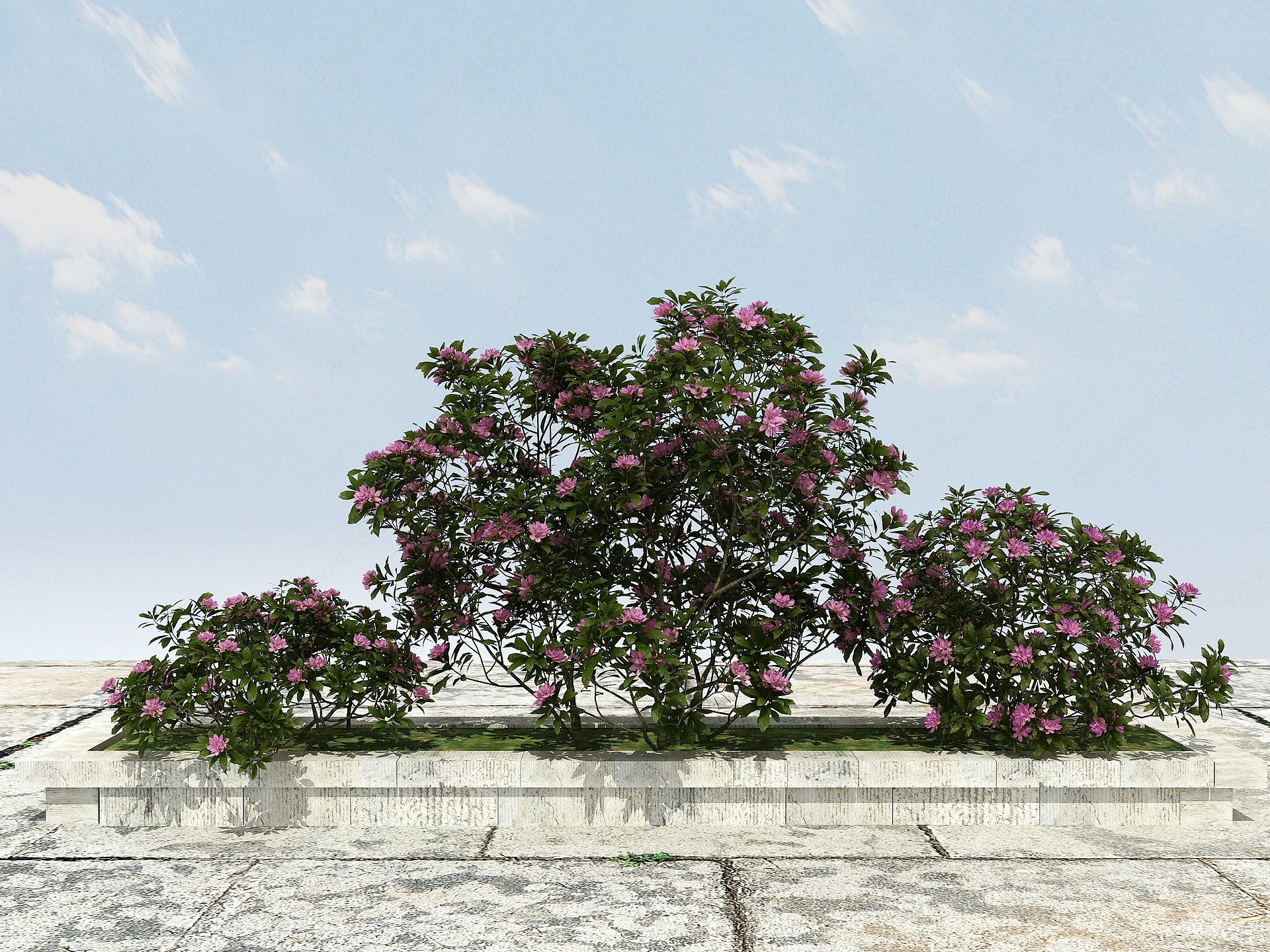 杜鹃花景观植物3D模型