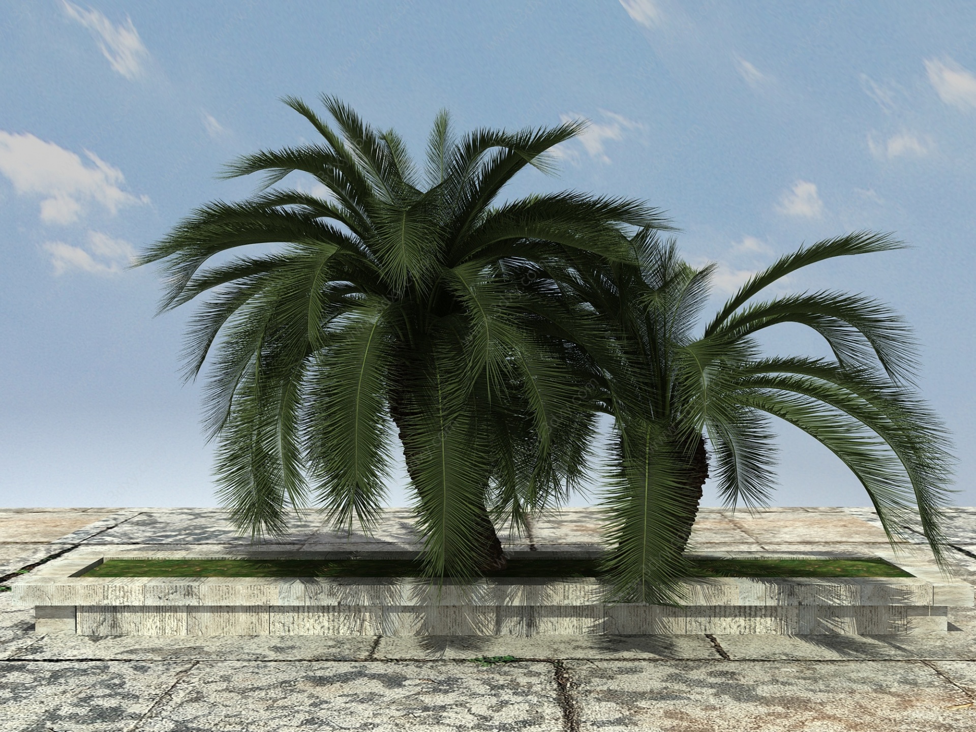 热带植物大铁树3D模型