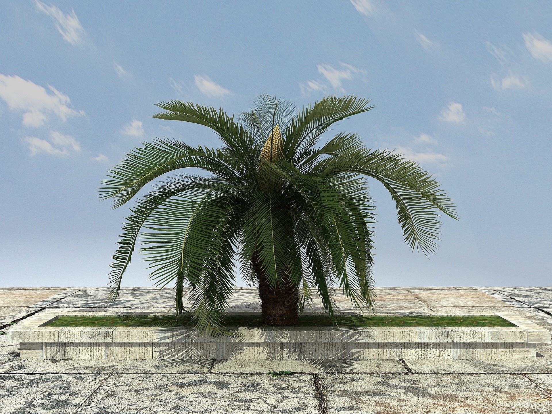 热带植物大铁树3D模型