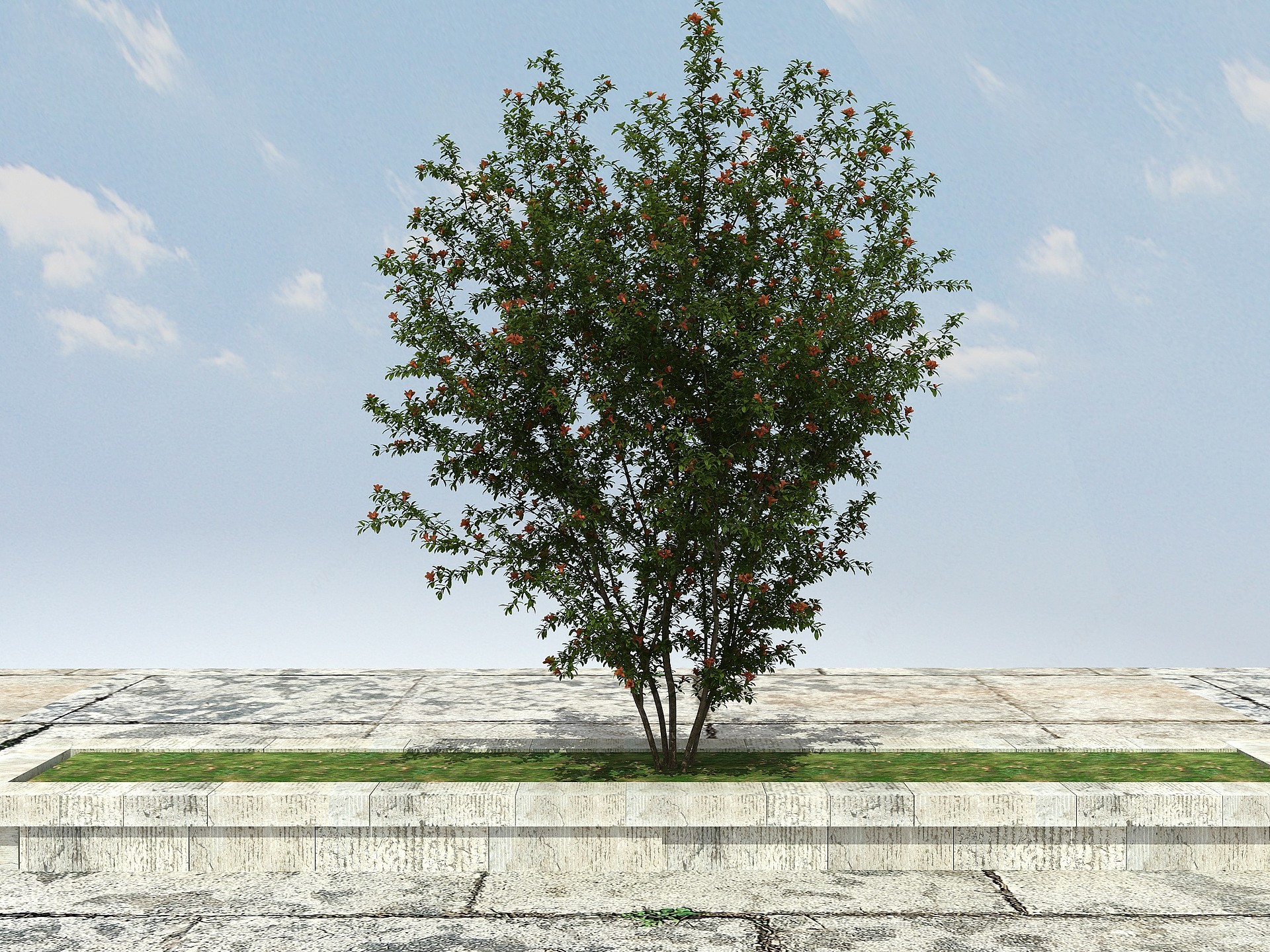 石榴树开花3D模型