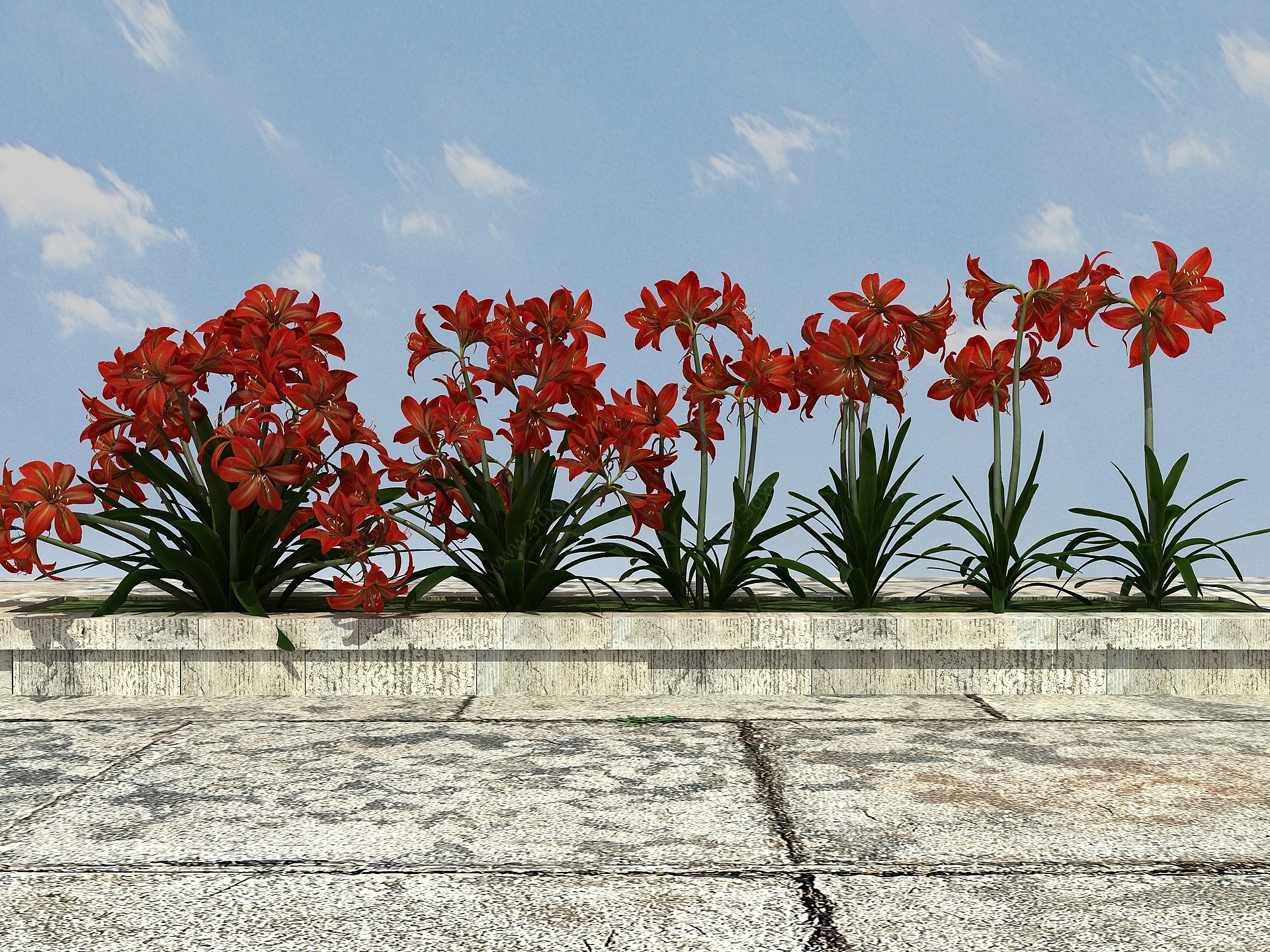 开花植物3D模型