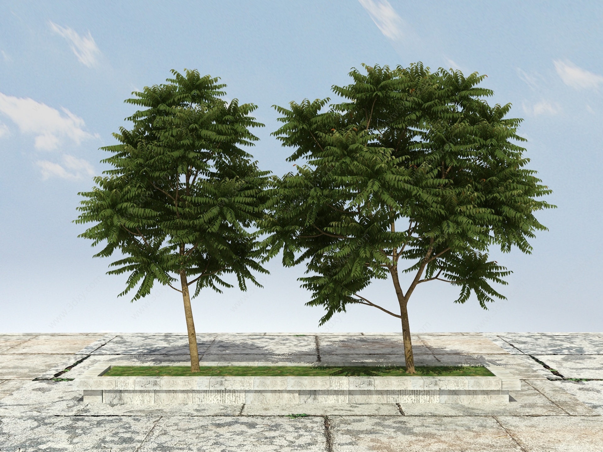 香春树（可食用）3D模型